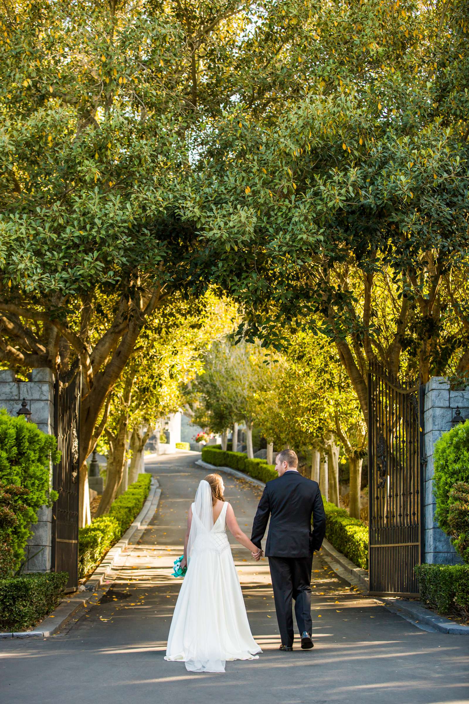 Wedding, Tara and William (Ben) Wedding Photo #374321 by True Photography