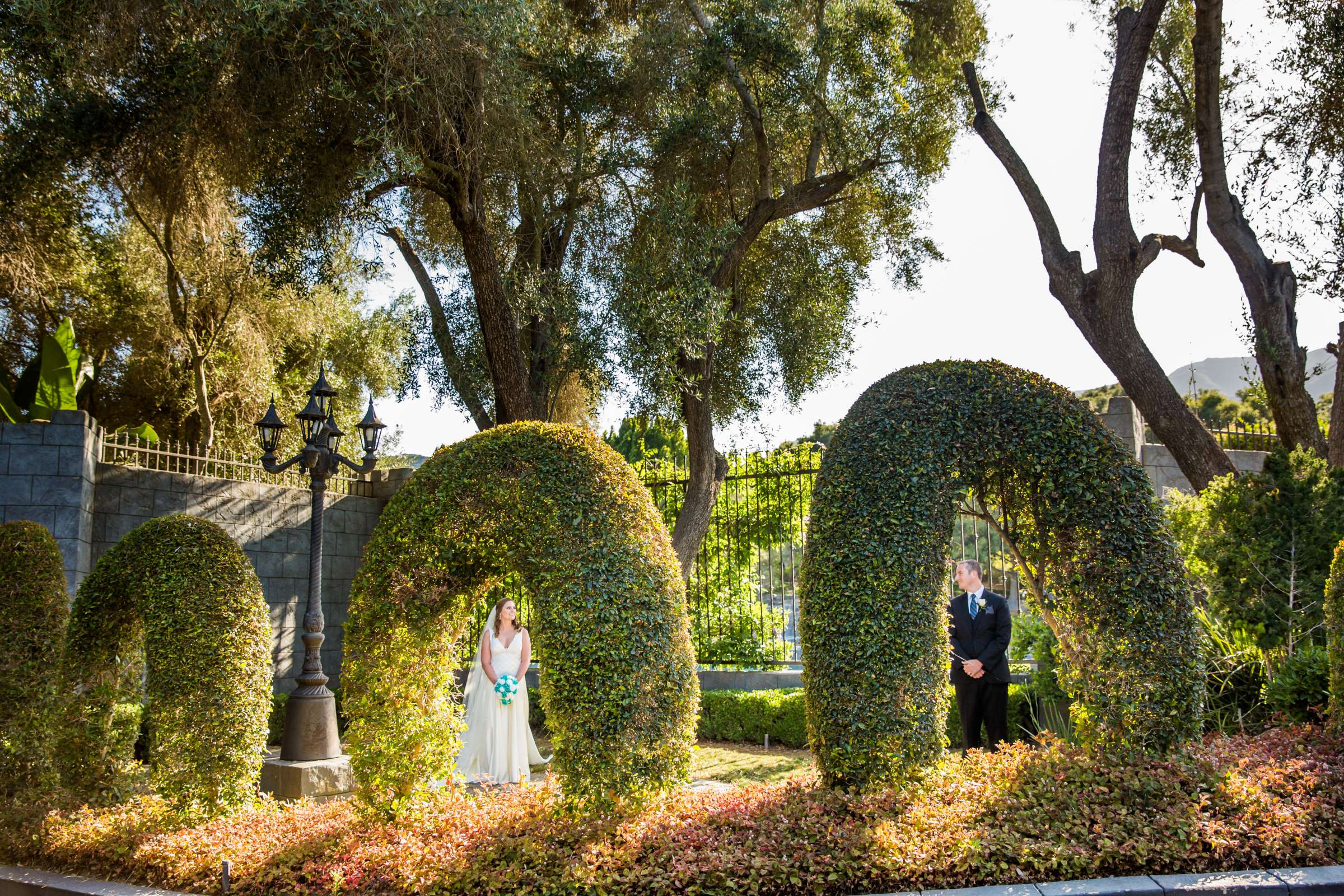 Wedding, Tara and William (Ben) Wedding Photo #374322 by True Photography