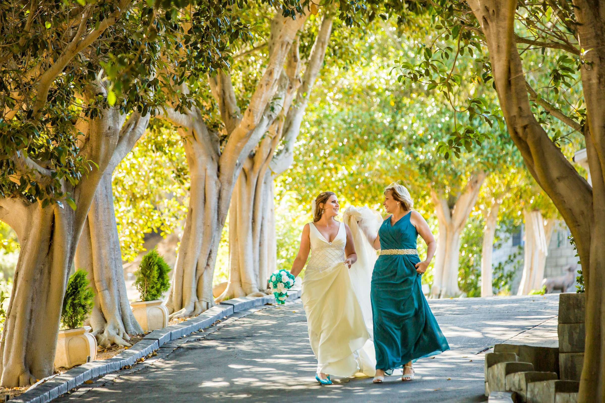 Wedding, Tara and William (Ben) Wedding Photo #374374 by True Photography