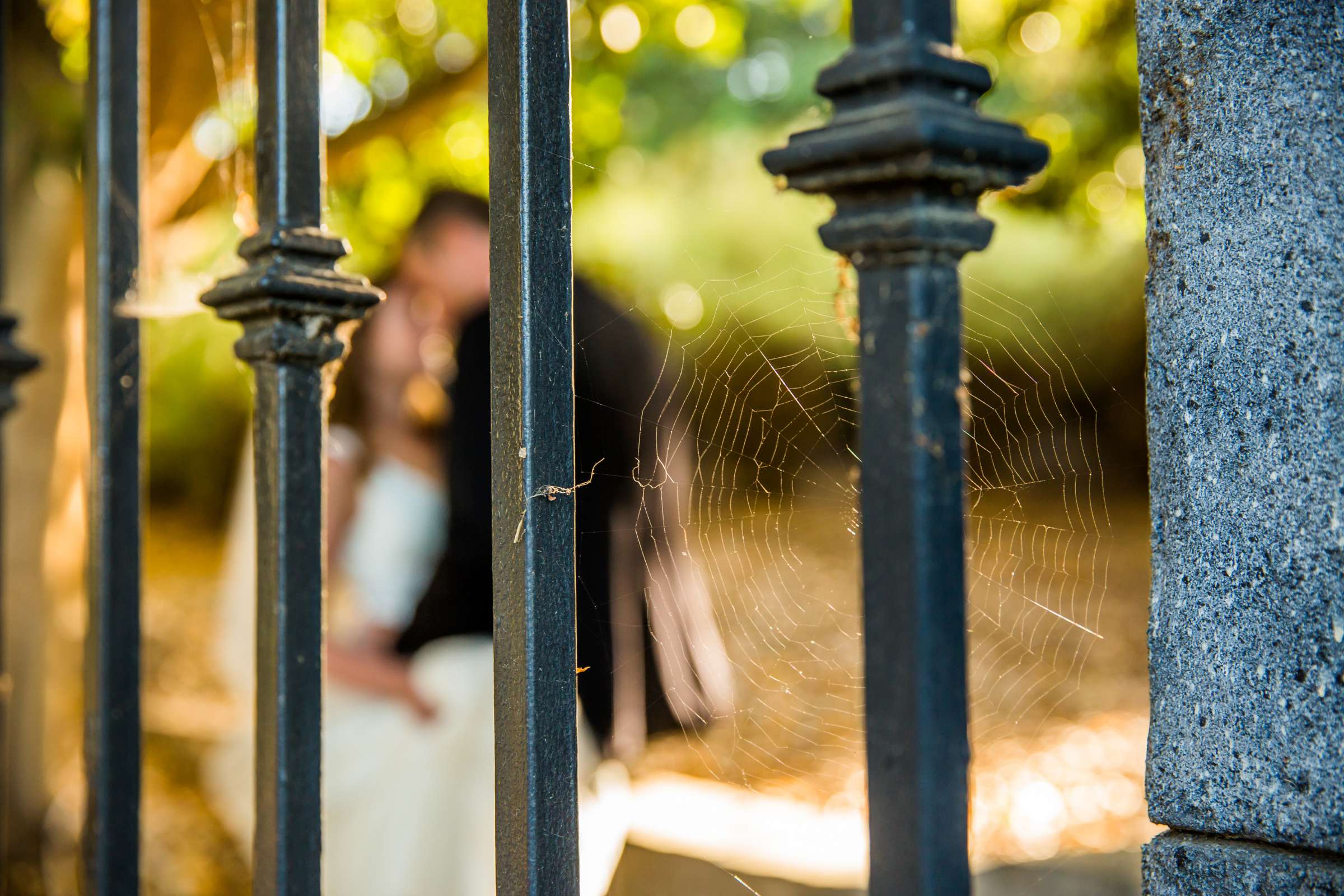 Wedding, Tara and William (Ben) Wedding Photo #374404 by True Photography