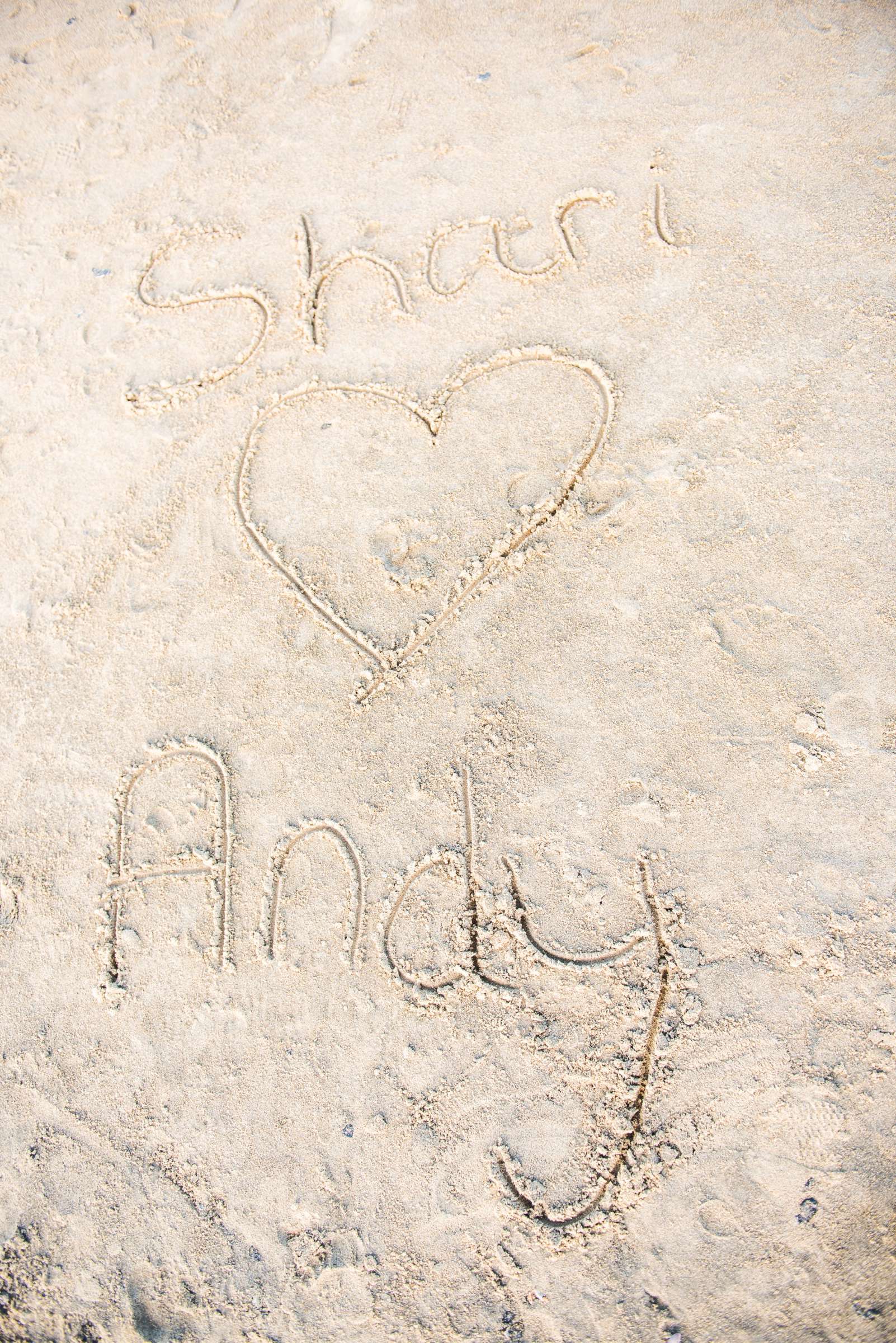 Hotel Del Coronado Wedding coordinated by First Comes Love Weddings & Events, Shari and Andy Wedding Photo #376088 by True Photography