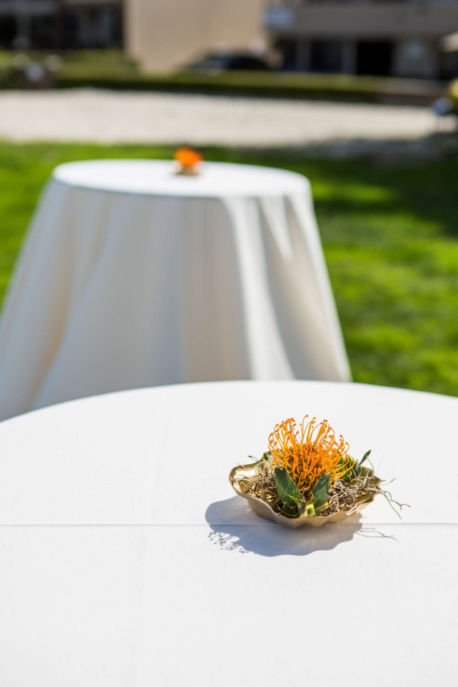 Catamaran Resort Wedding coordinated by Lavish Weddings, Brittany and David Wedding Photo #183 by True Photography