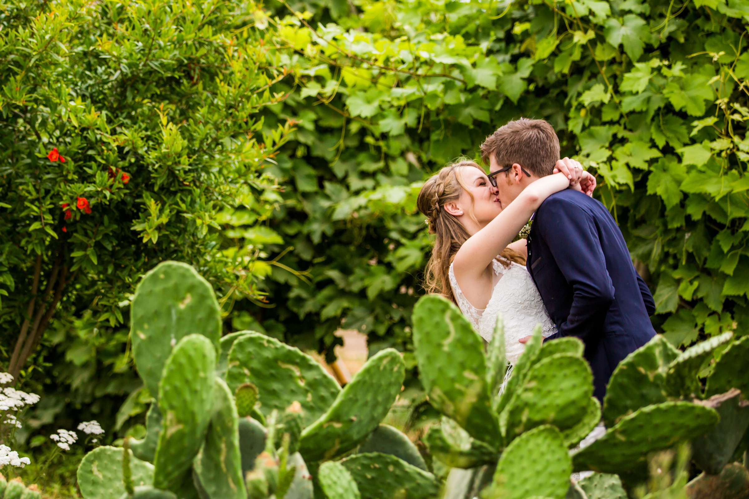 Wedding, Kaitlyn and Sean Wedding Photo #1 by True Photography