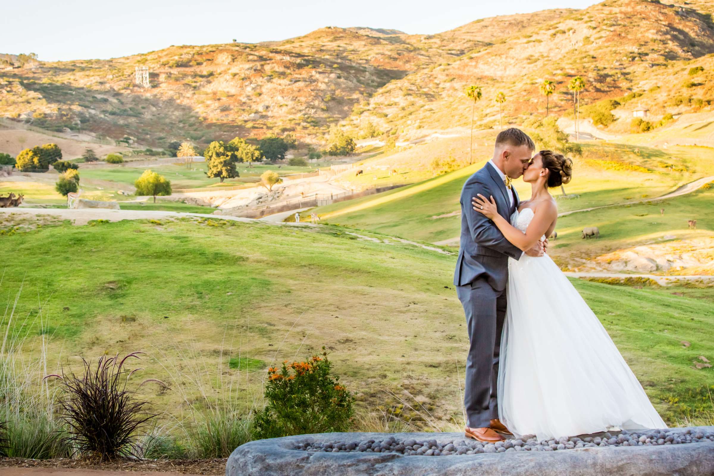 Safari Park Wedding, Danielle and Brendan Wedding Photo #90 by True Photography