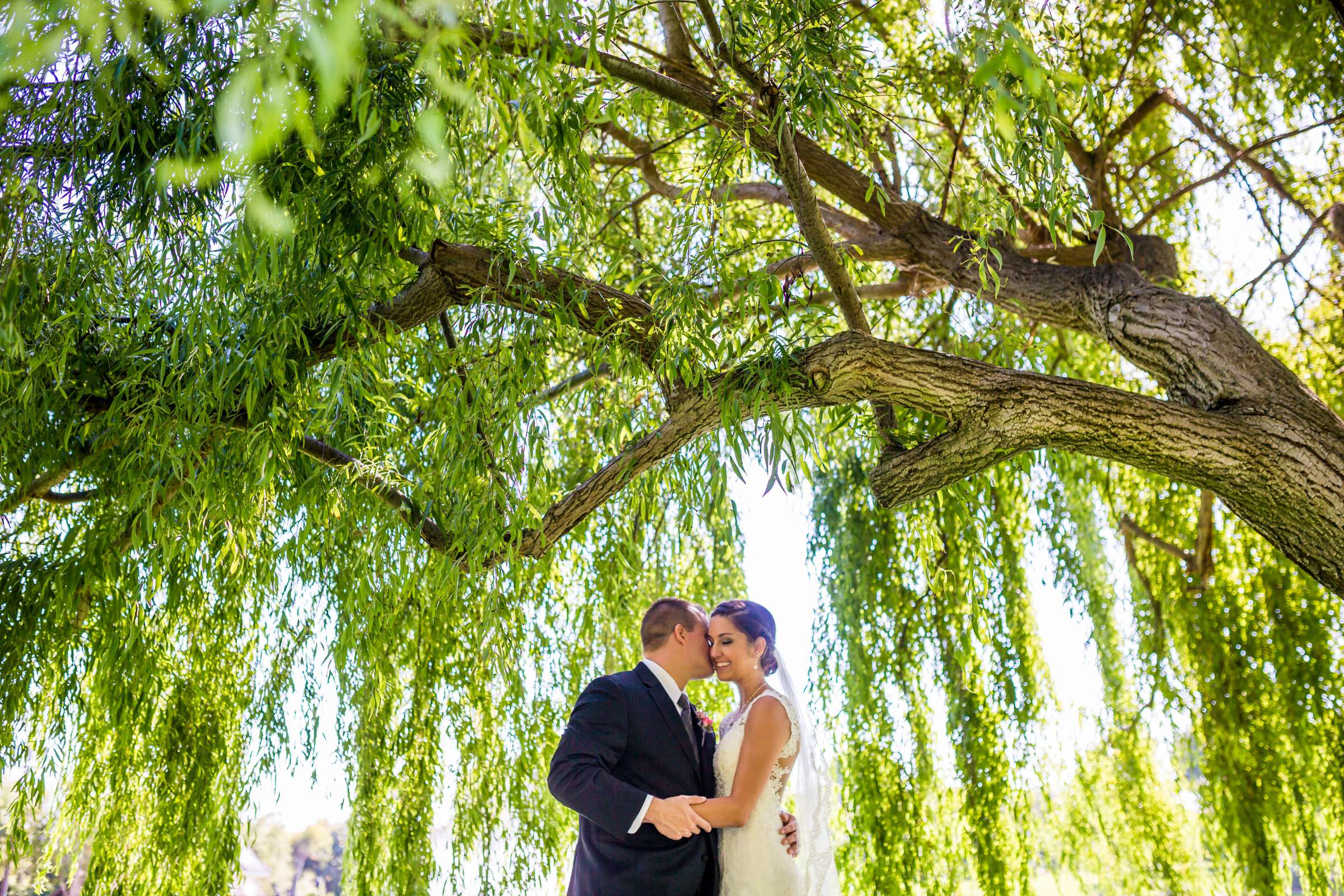 Grand Tradition Estate Wedding coordinated by Grand Tradition Estate, Kelly and Joe Wedding Photo #19 by True Photography