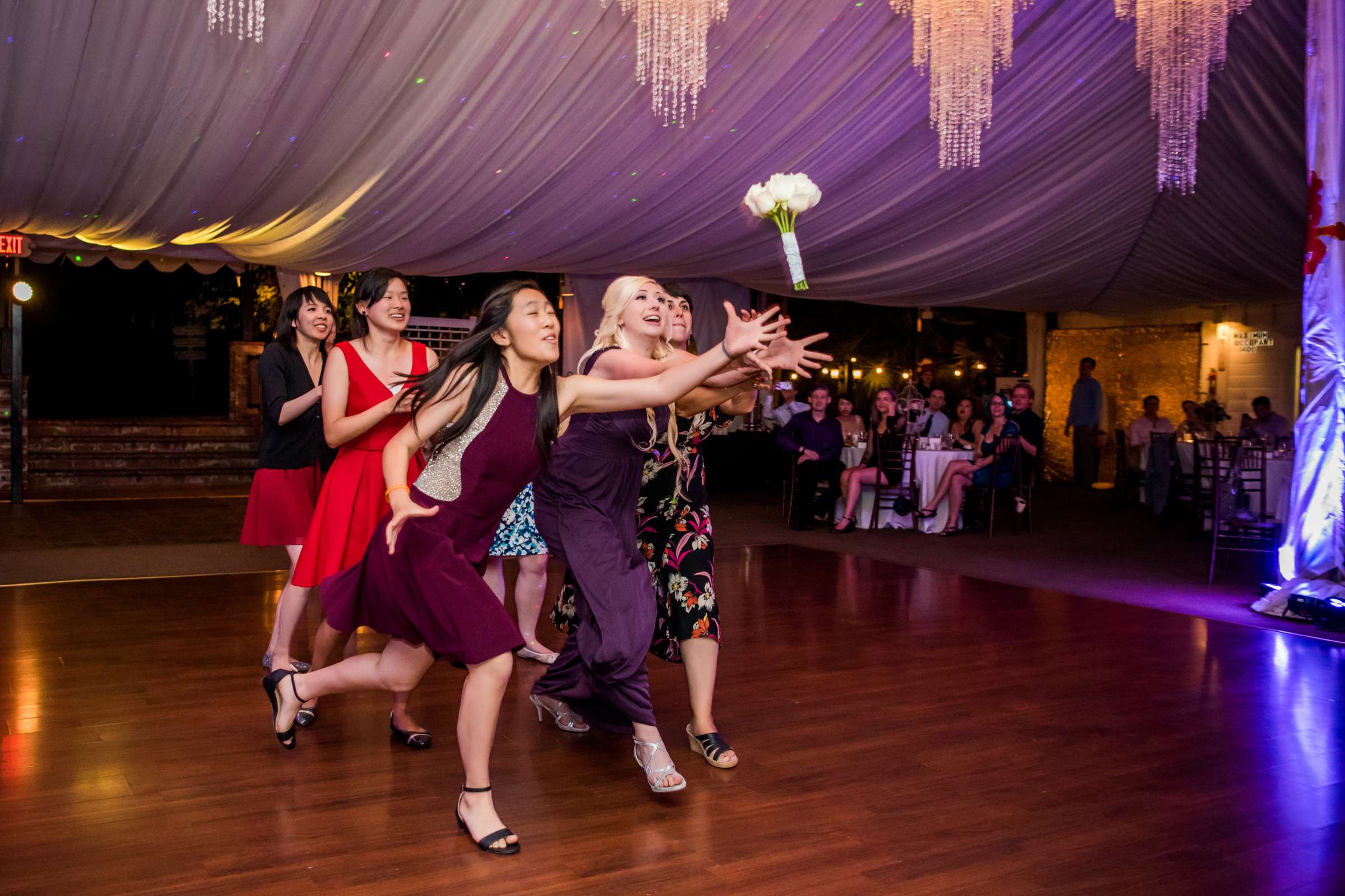 Green Gables Wedding Estate Wedding, Helen and Jonathan Wedding Photo #127 by True Photography