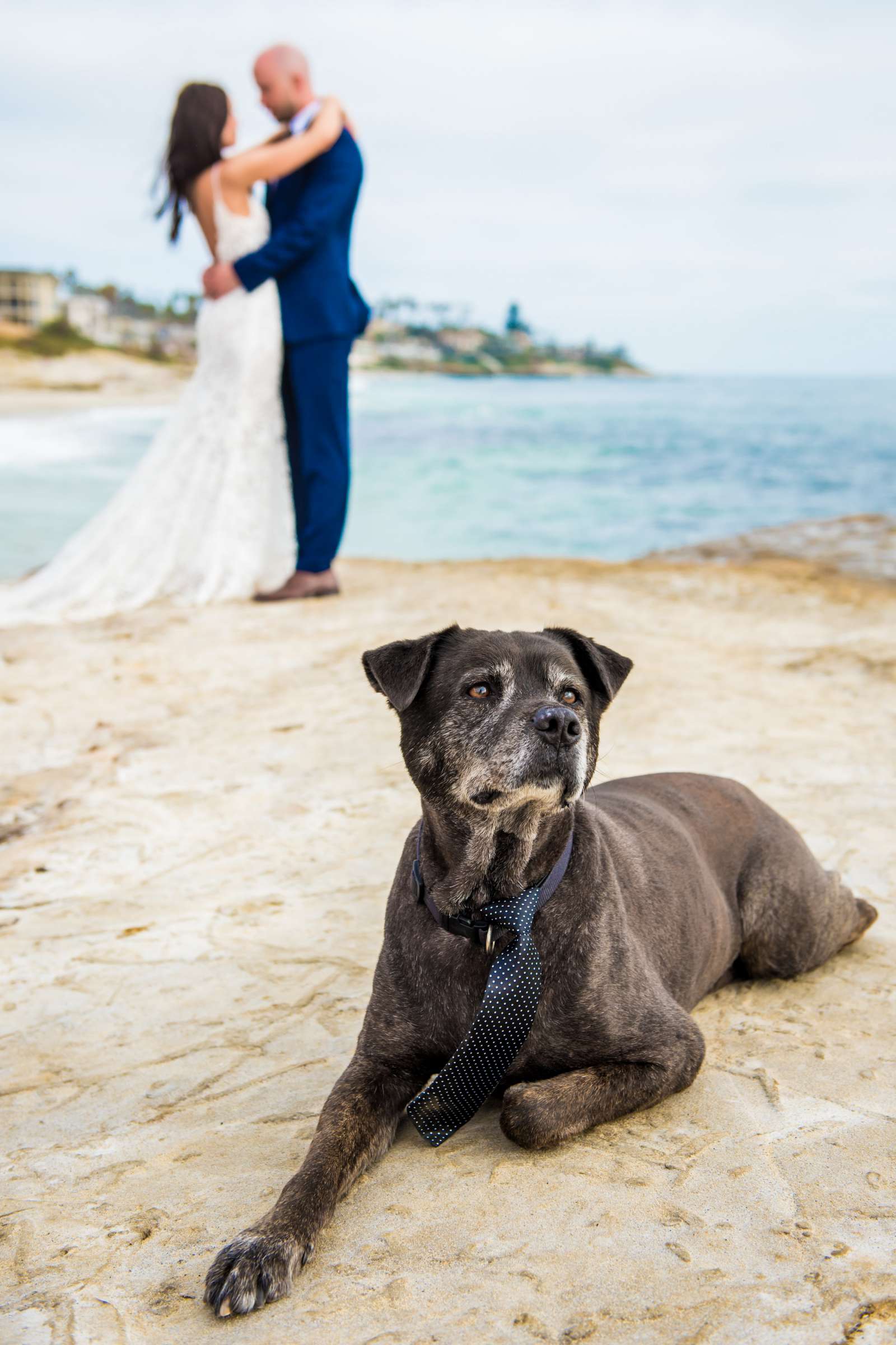 Wedding, Jessica and Richard Wedding Photo #391403 by True Photography