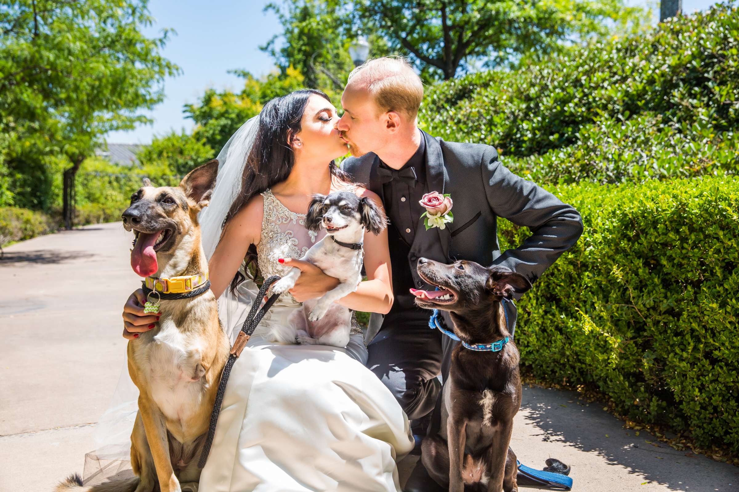 Cuvier Club Wedding, Lulu and Josh Wedding Photo #4 by True Photography