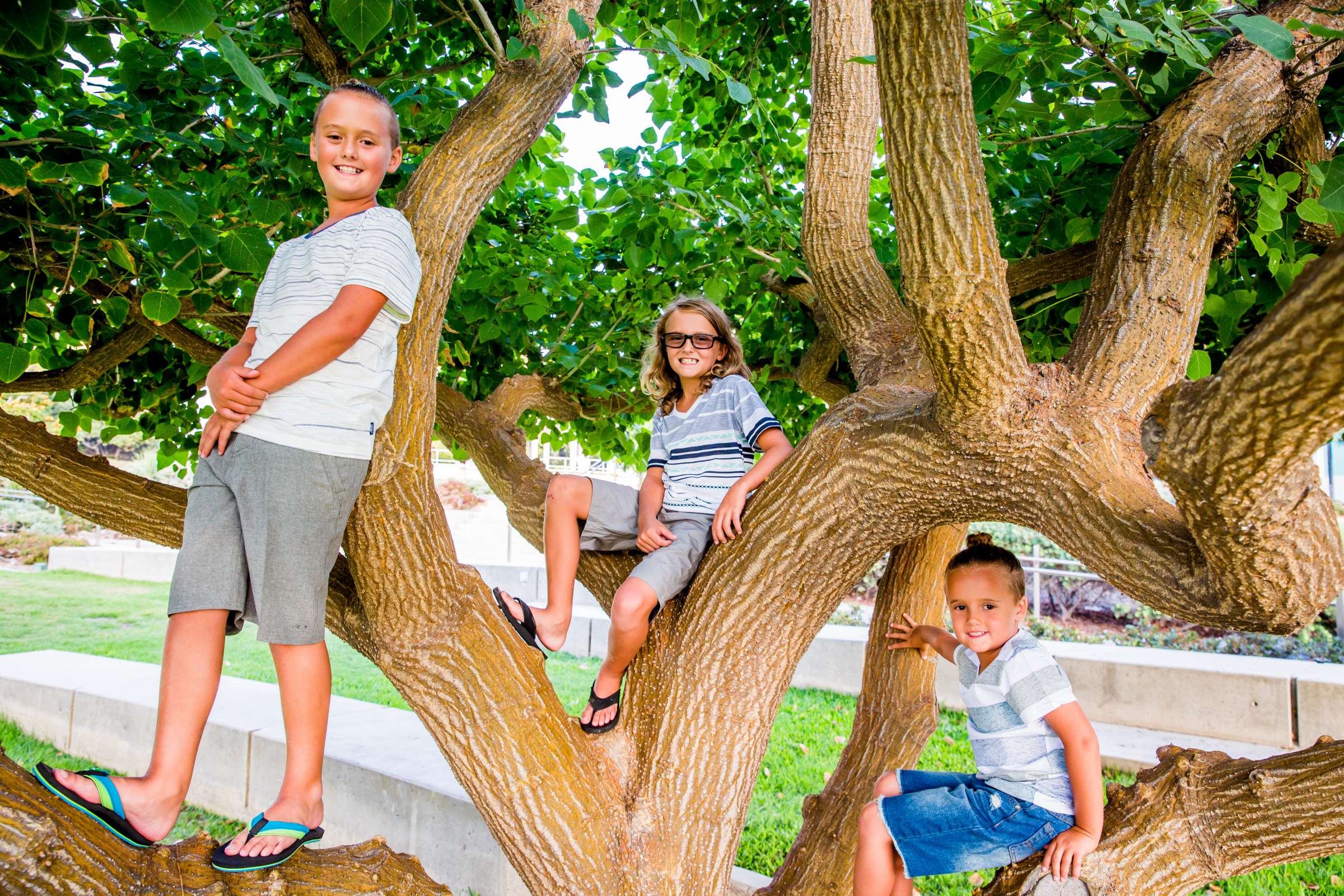 Family Portraits, Crystal Beale Family Photo #7 by True Photography