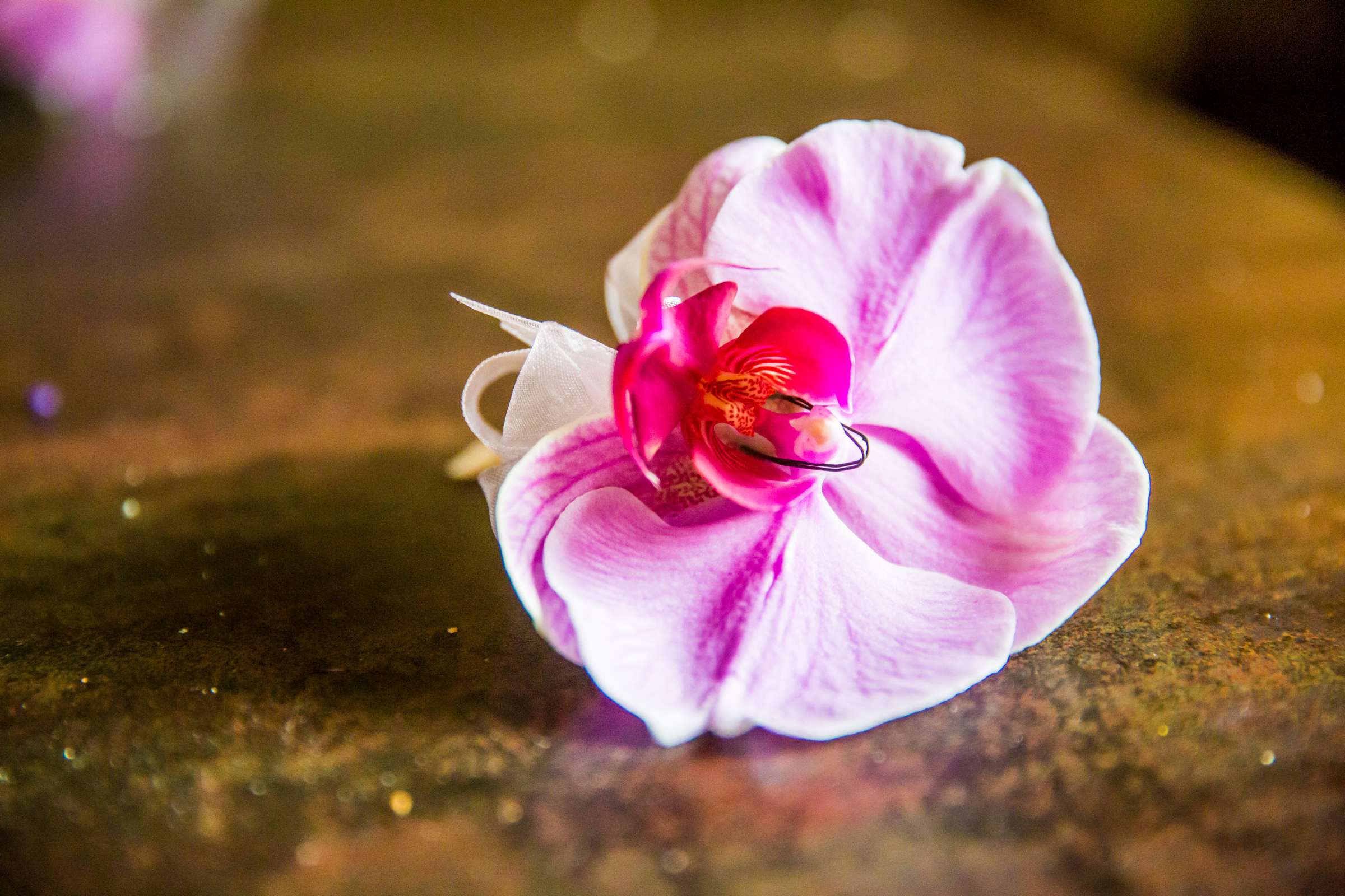 Bahia Hotel Wedding coordinated by Breezy Day Weddings, Jennifer and Charlie Wedding Photo #132 by True Photography