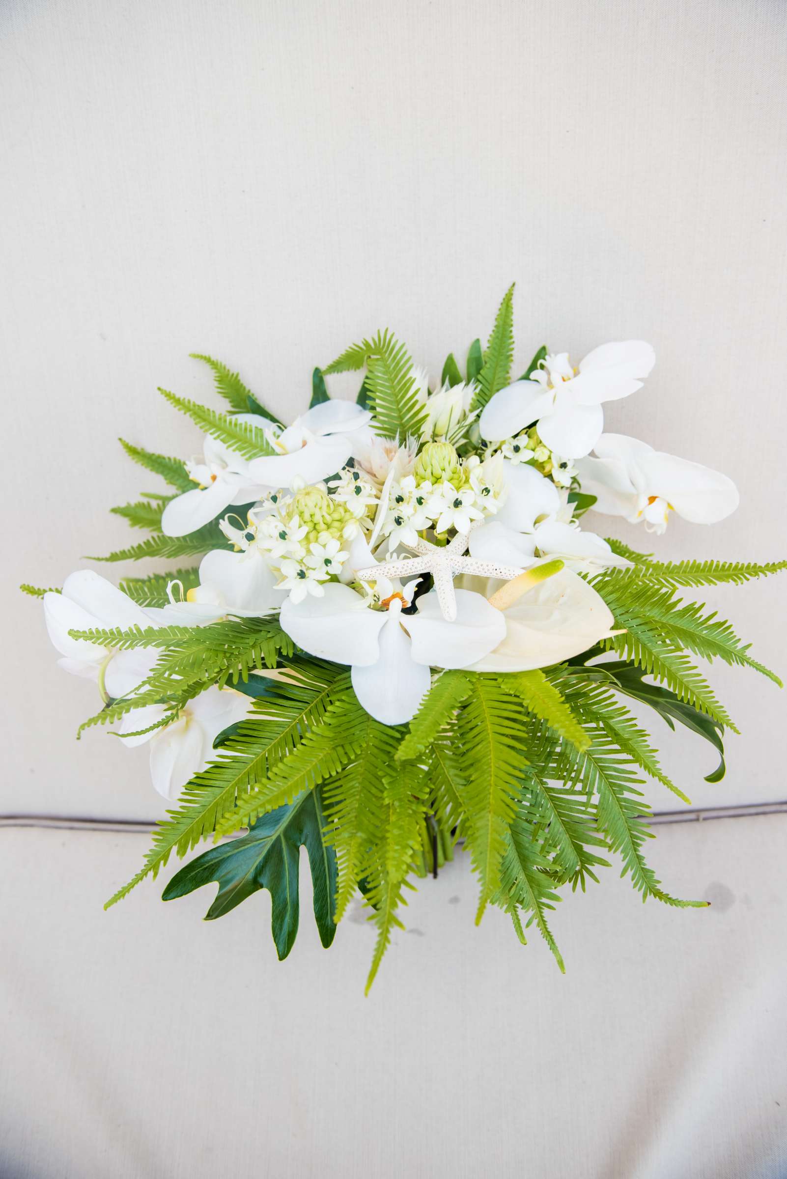 Coronado Island Marriott Resort & Spa Wedding coordinated by Bluestocking Weddings & Events, Ashleigh and Christopher Wedding Photo #165 by True Photography