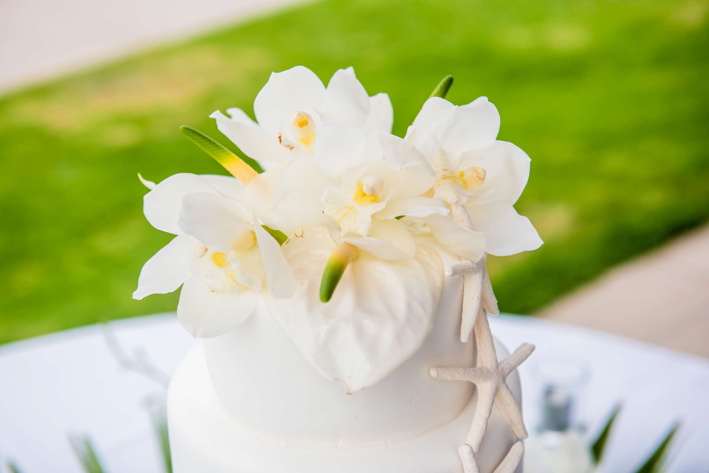 Coronado Island Marriott Resort & Spa Wedding coordinated by Bluestocking Weddings & Events, Ashleigh and Christopher Wedding Photo #207 by True Photography