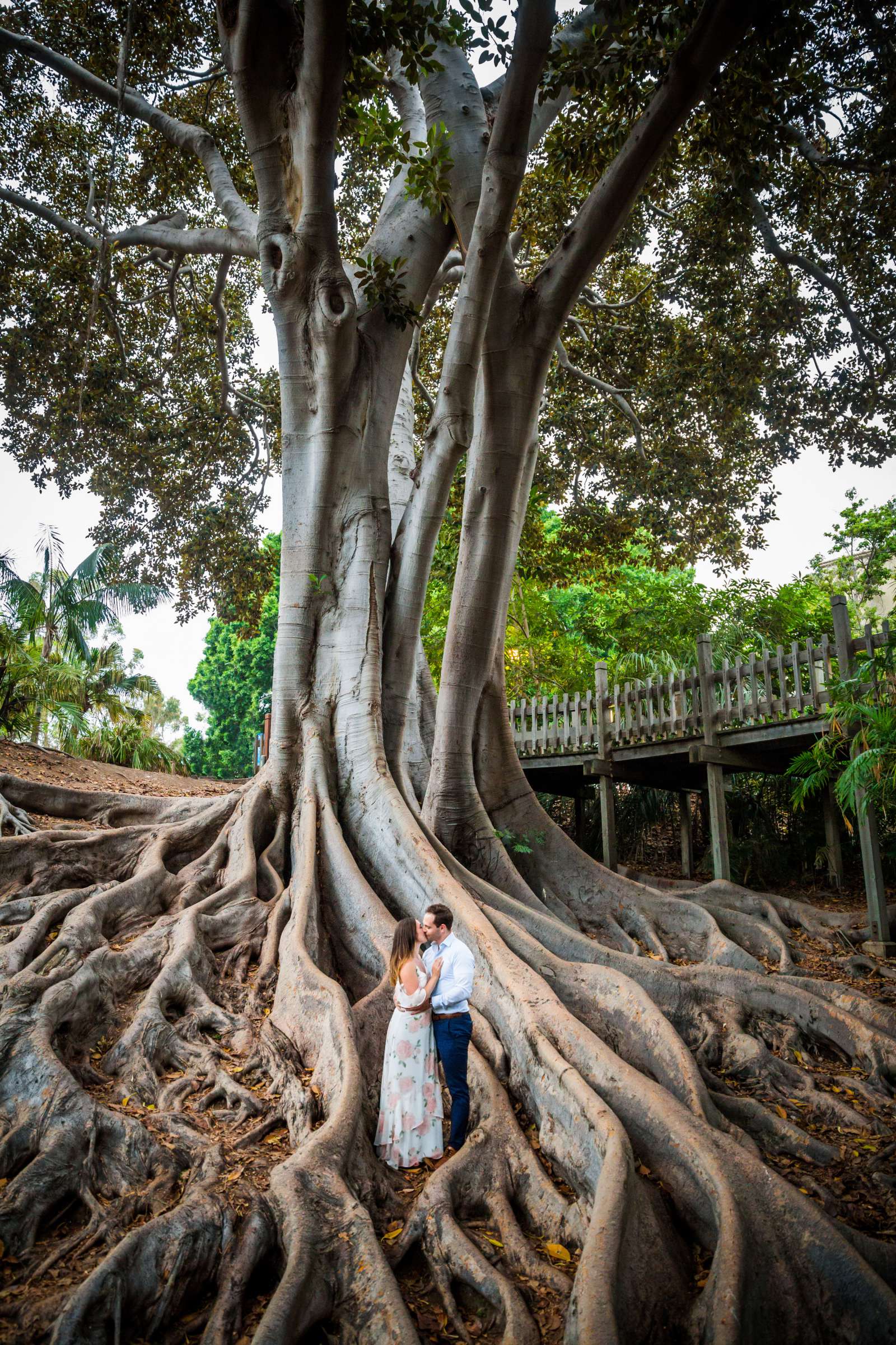 Engagement, Tania and Kyle Engagement Photo #9 by True Photography