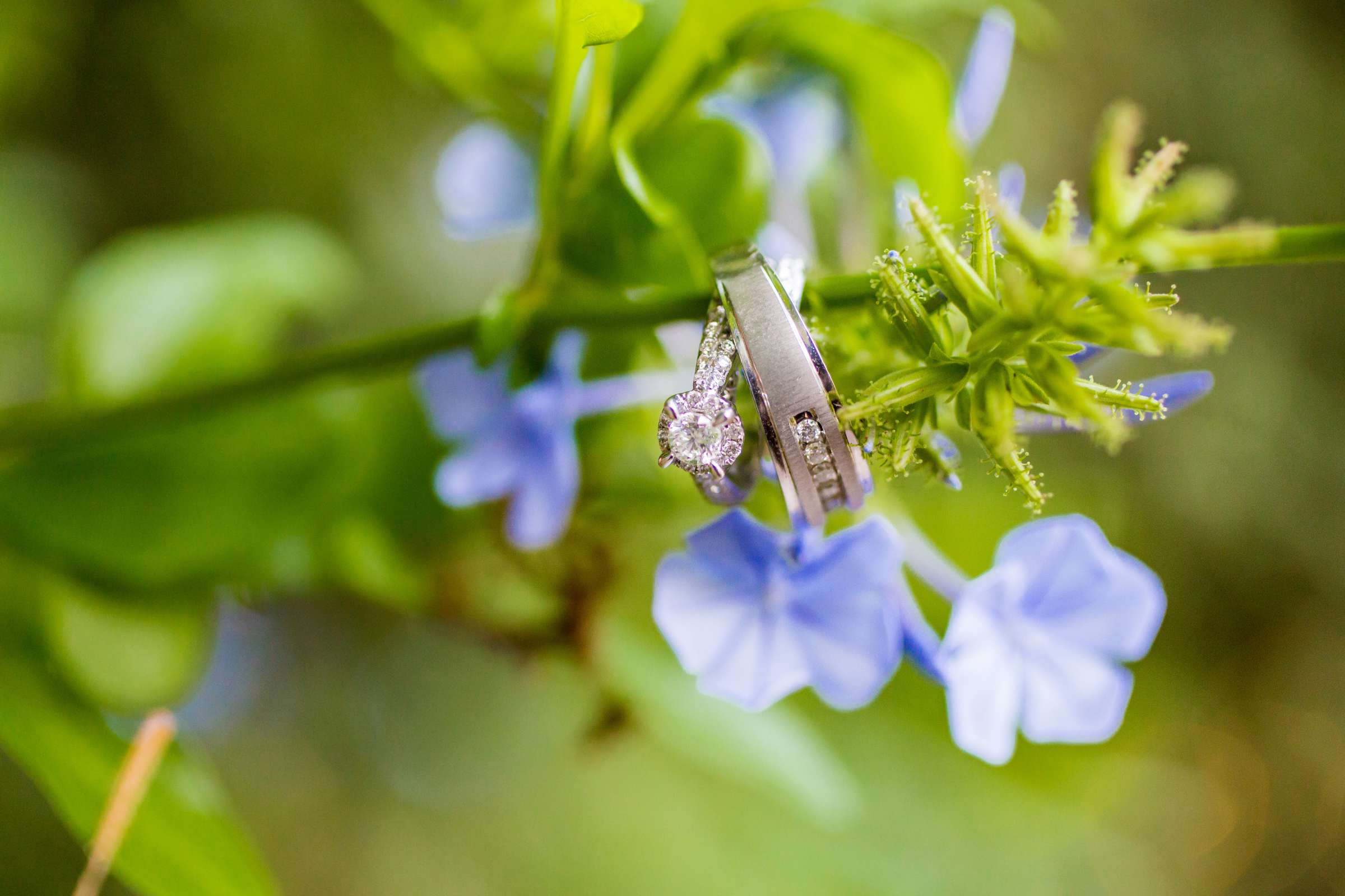 Twin Oaks House & Gardens Wedding Estate Wedding coordinated by Twin Oaks House & Gardens Wedding Estate, Kristine and David Wedding Photo #409454 by True Photography