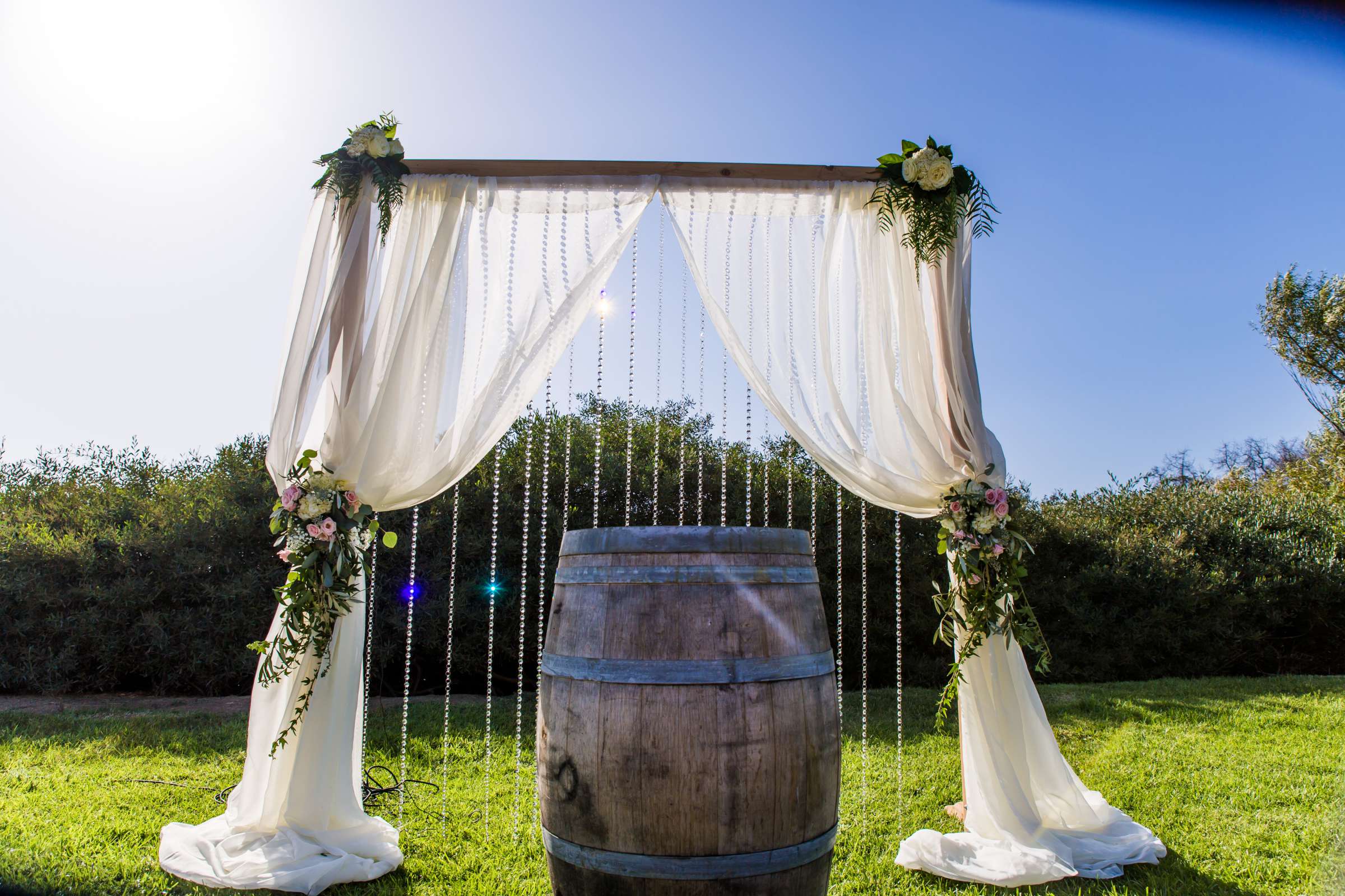 Ethereal Gardens Wedding, Nicole and Michael Wedding Photo #417279 by True Photography