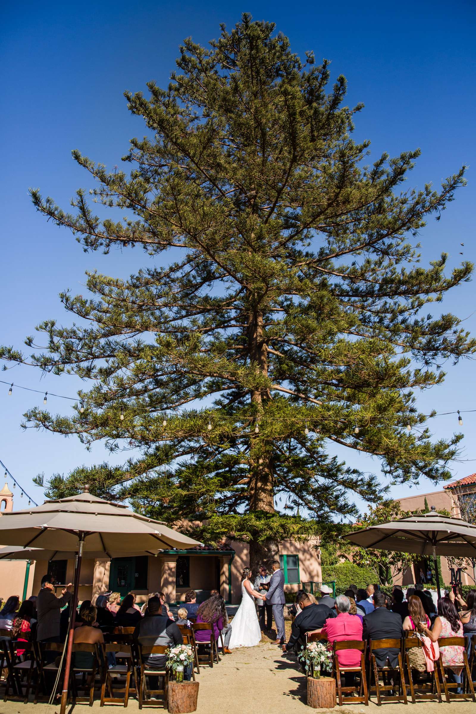 Courtyard by Marriott San Diego Airport/Liberty Station Wedding coordinated by This and That Event Services, Renae and Adrian Wedding Photo #52 by True Photography