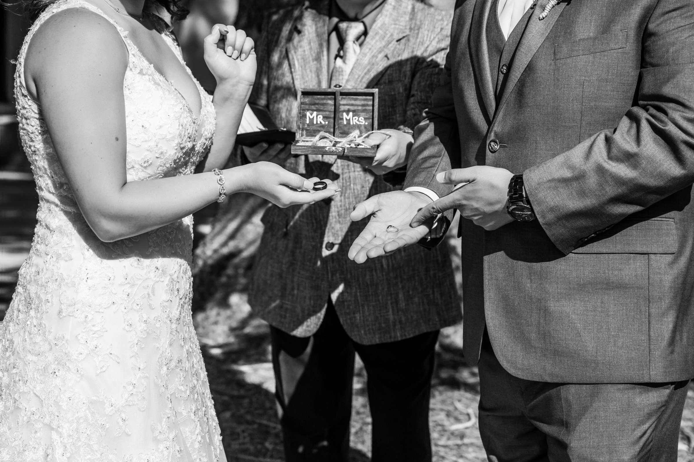 Courtyard by Marriott San Diego Airport/Liberty Station Wedding coordinated by This and That Event Services, Renae and Adrian Wedding Photo #55 by True Photography