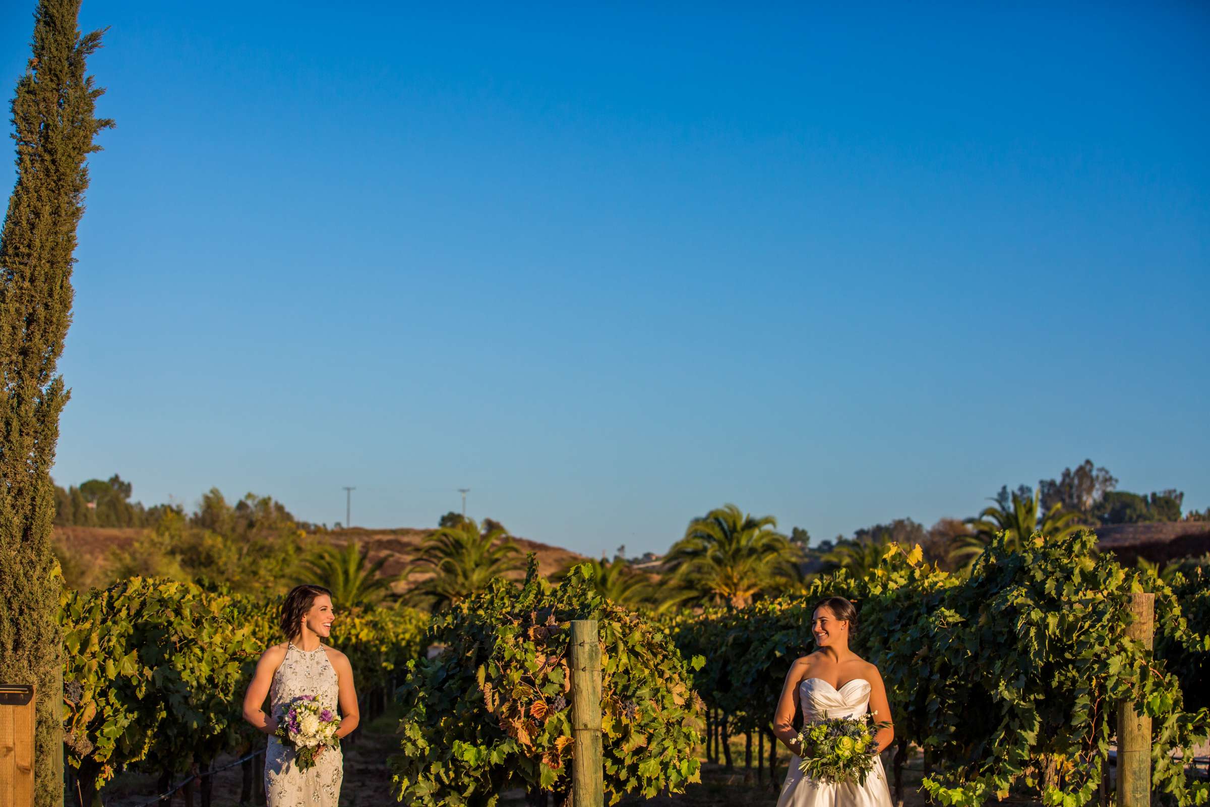 Peltzer Winery Wedding coordinated by Bliss Events, Lauren and Crystal Wedding Photo #419718 by True Photography