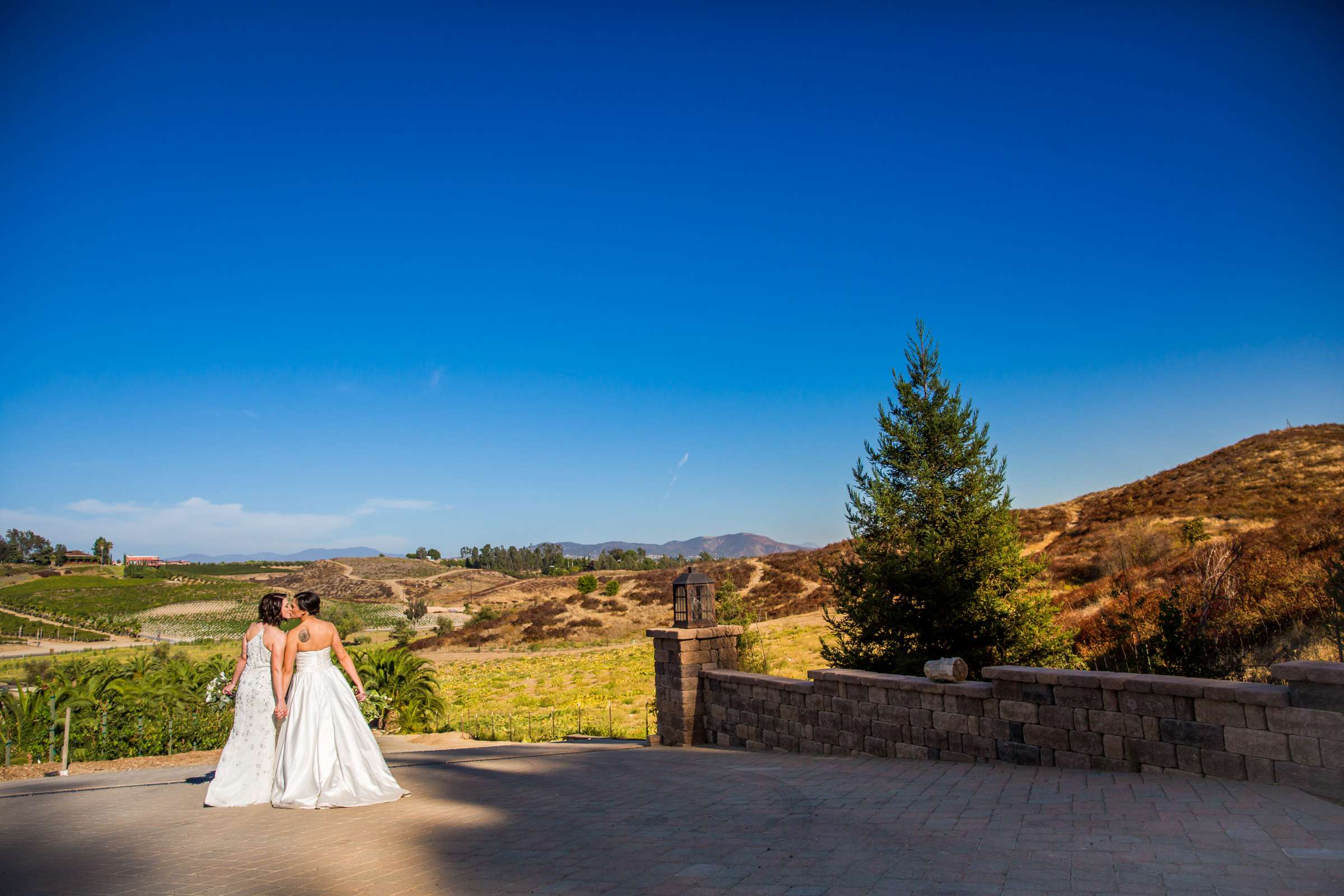 Peltzer Winery Wedding coordinated by Bliss Events, Lauren and Crystal Wedding Photo #419770 by True Photography