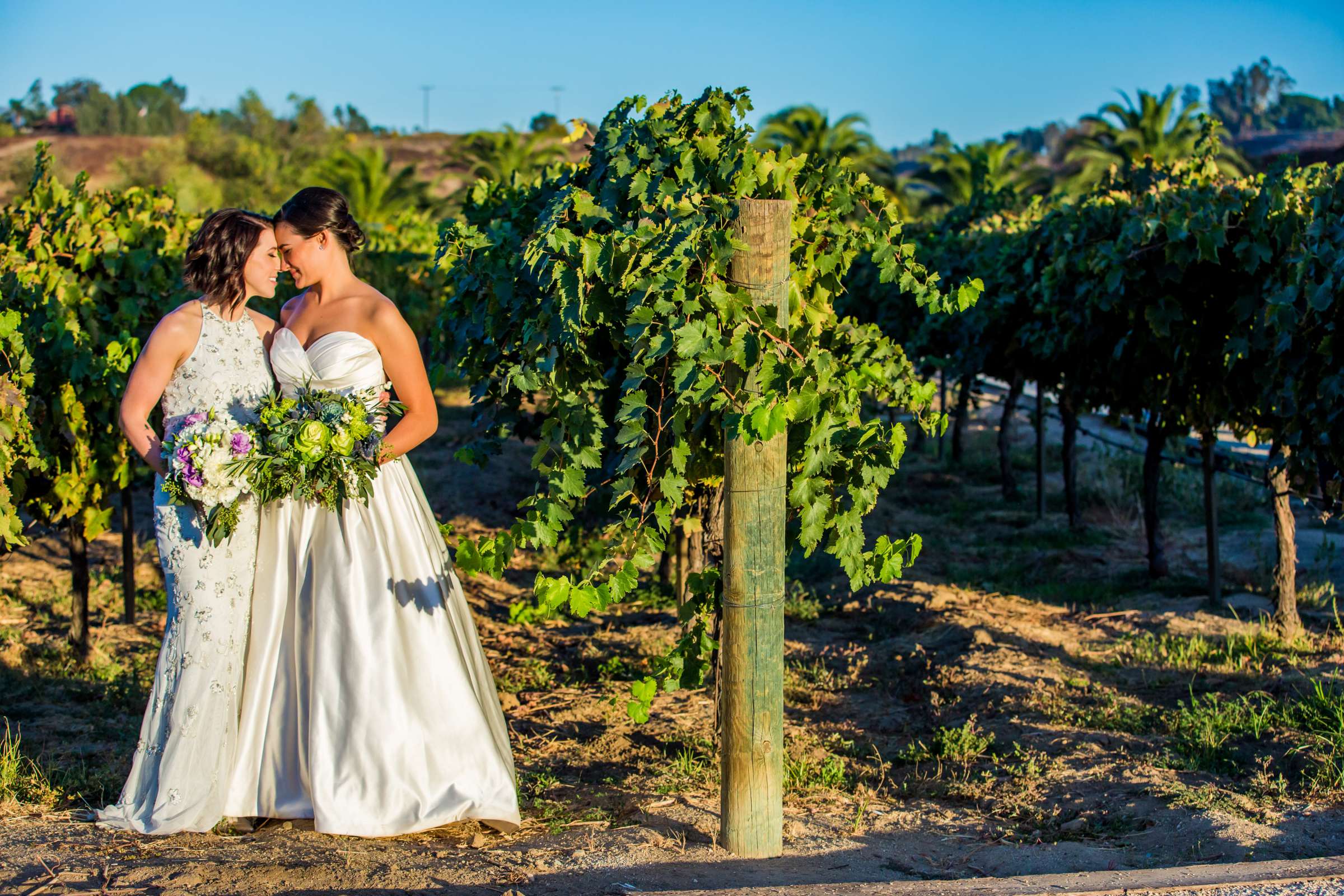 Peltzer Winery Wedding coordinated by Bliss Events, Lauren and Crystal Wedding Photo #419801 by True Photography