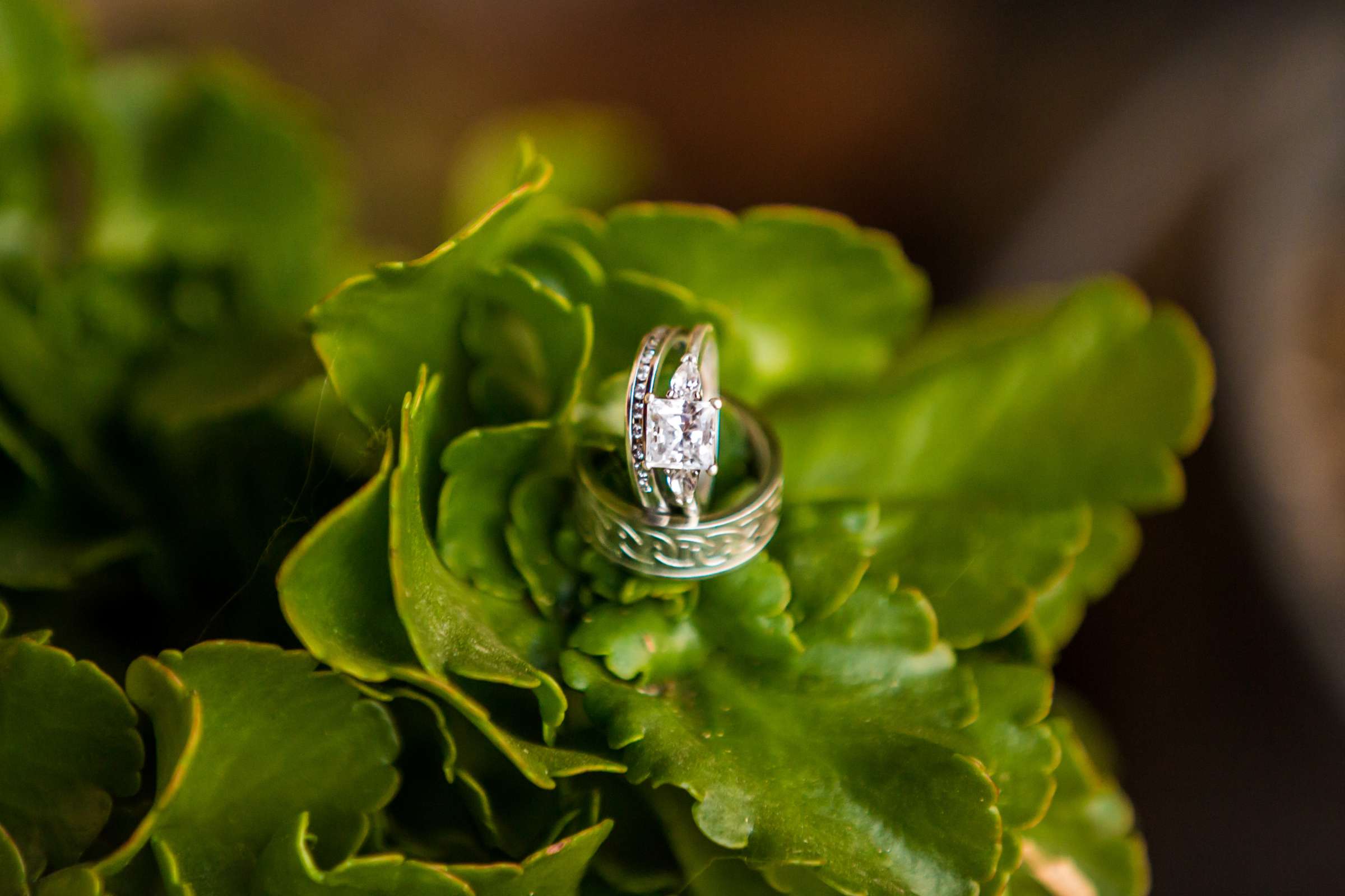 Fallbrook Hacienda Wedding, Elizabeth and Nicholas Wedding Photo #425277 by True Photography