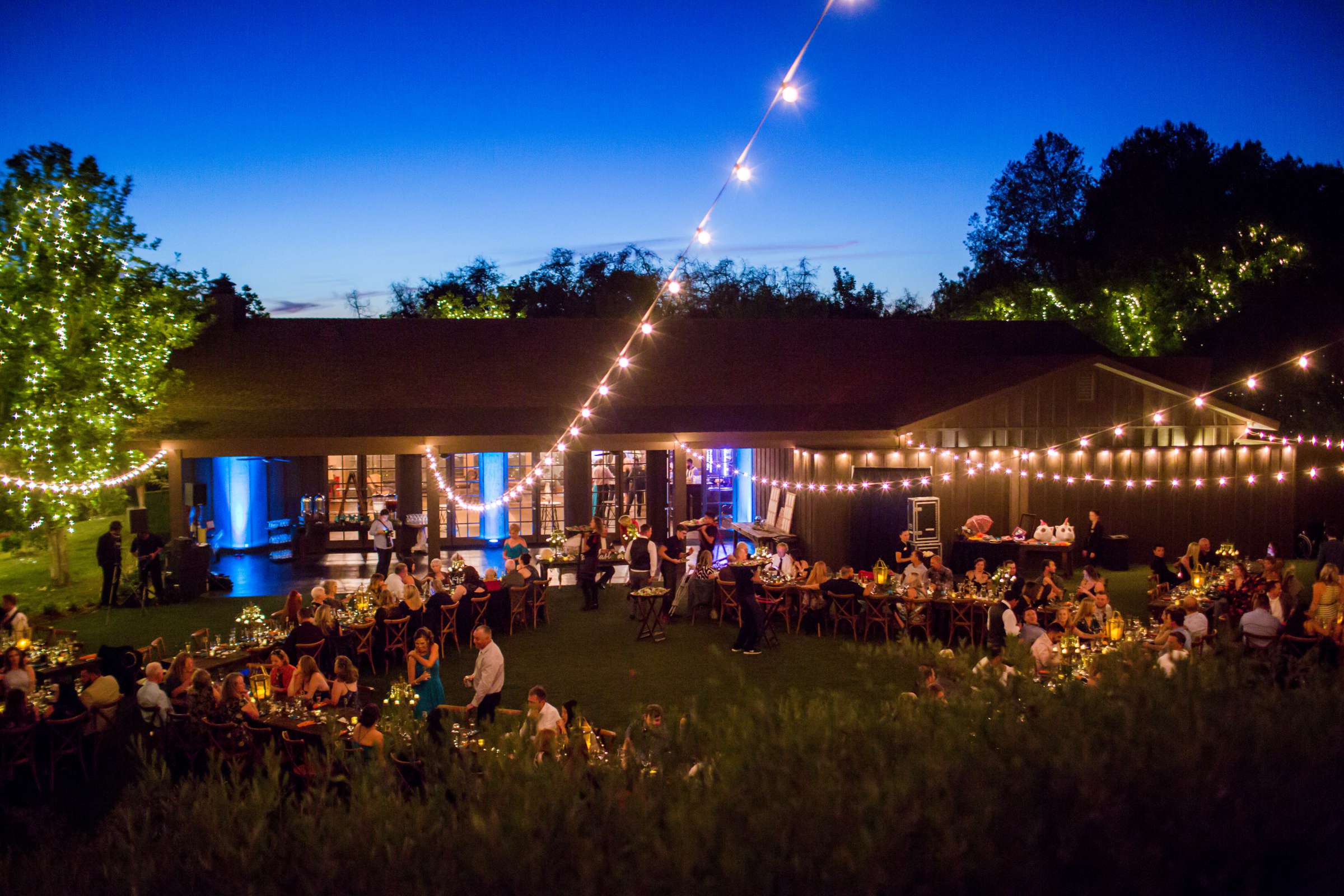 Ethereal Gardens Wedding, Allison and John Wedding Photo #425411 by True Photography