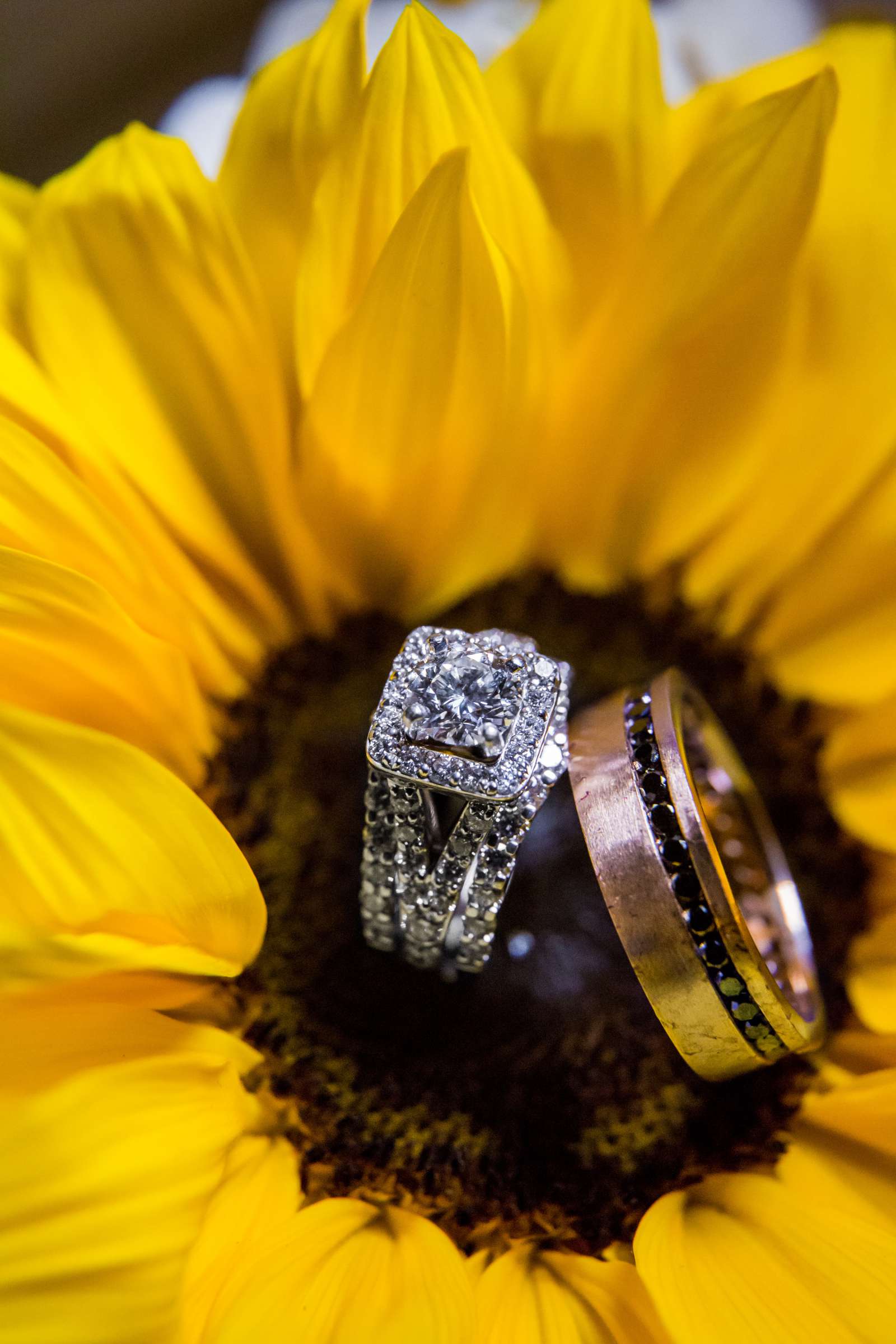 Hilton San Diego Bayfront Wedding, Brittney and Christopher Wedding Photo #29 by True Photography