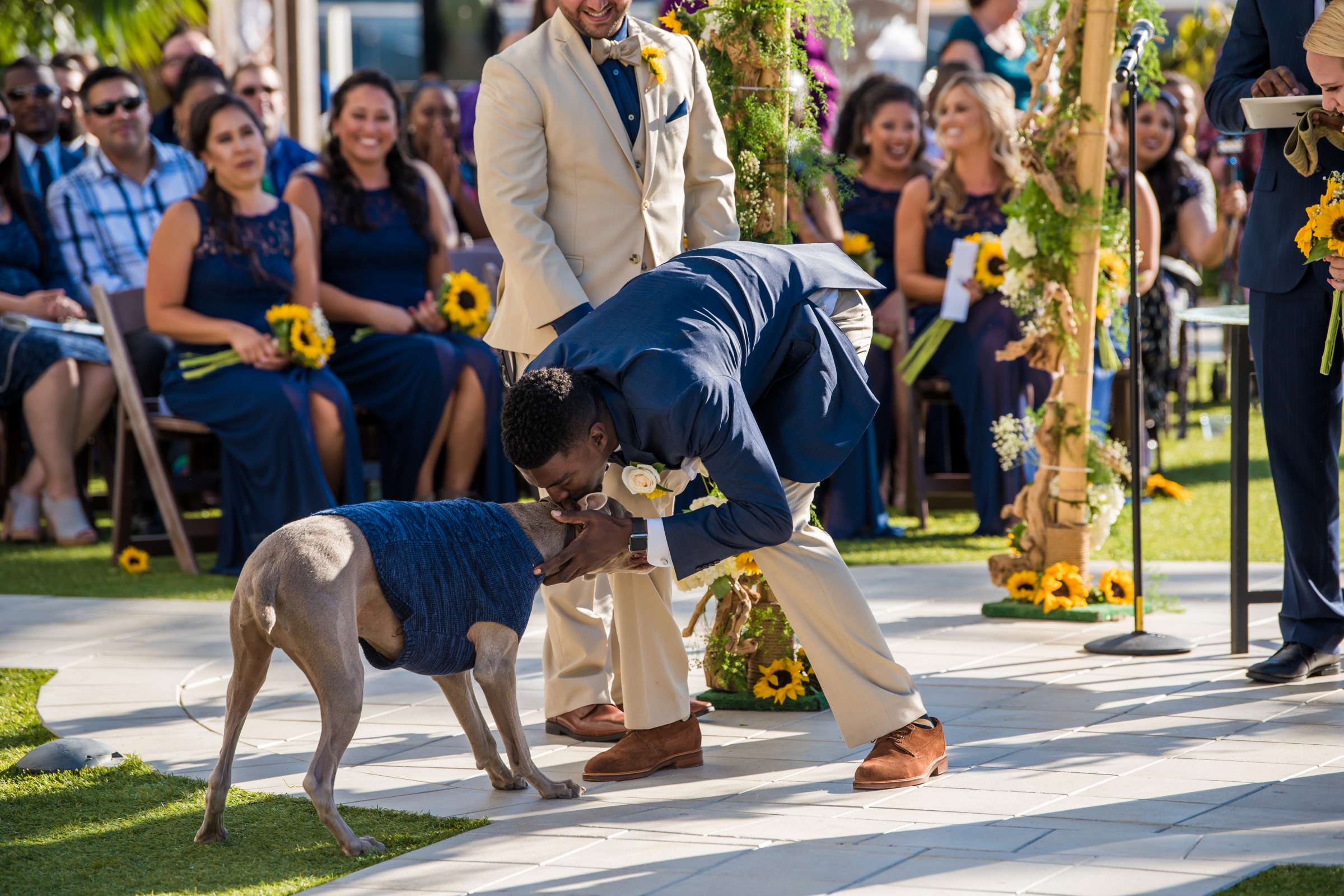 Hilton San Diego Bayfront Wedding, Brittney and Christopher Wedding Photo #50 by True Photography