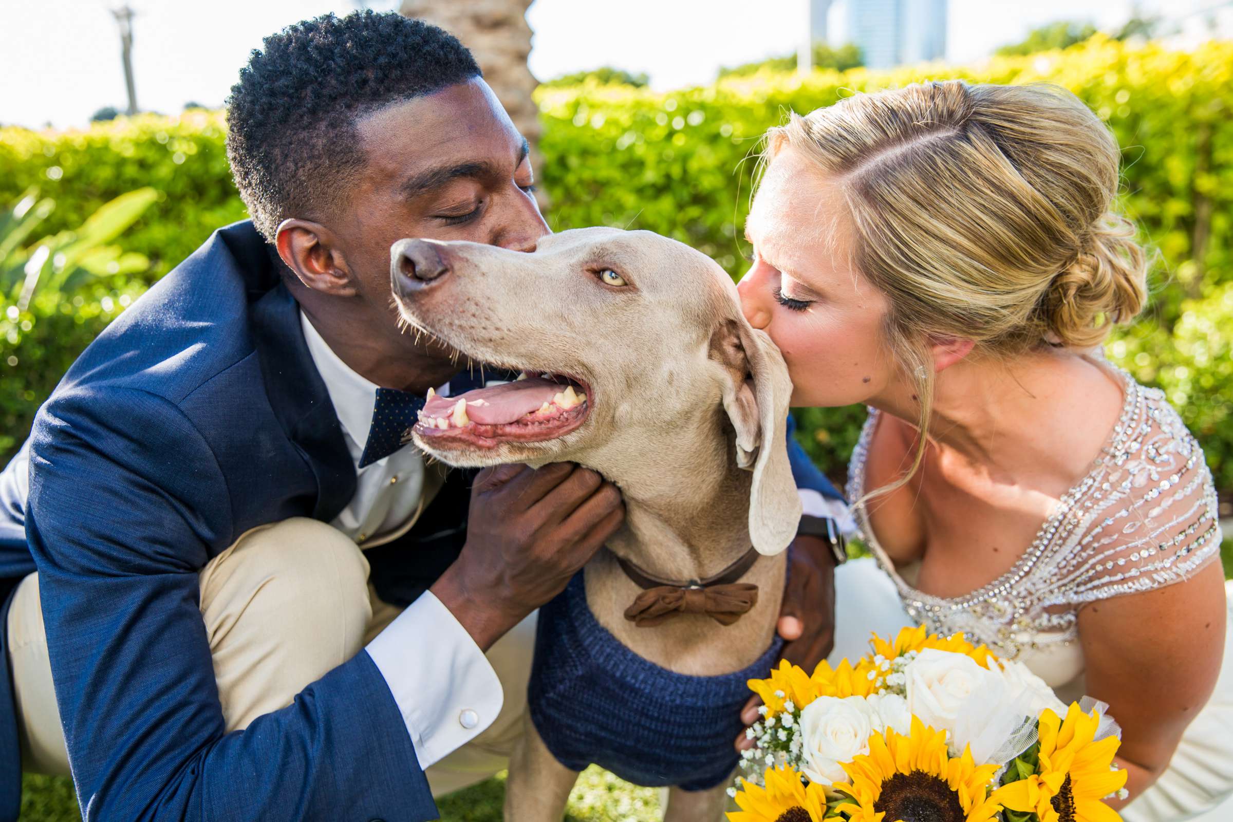 Hilton San Diego Bayfront Wedding, Brittney and Christopher Wedding Photo #66 by True Photography