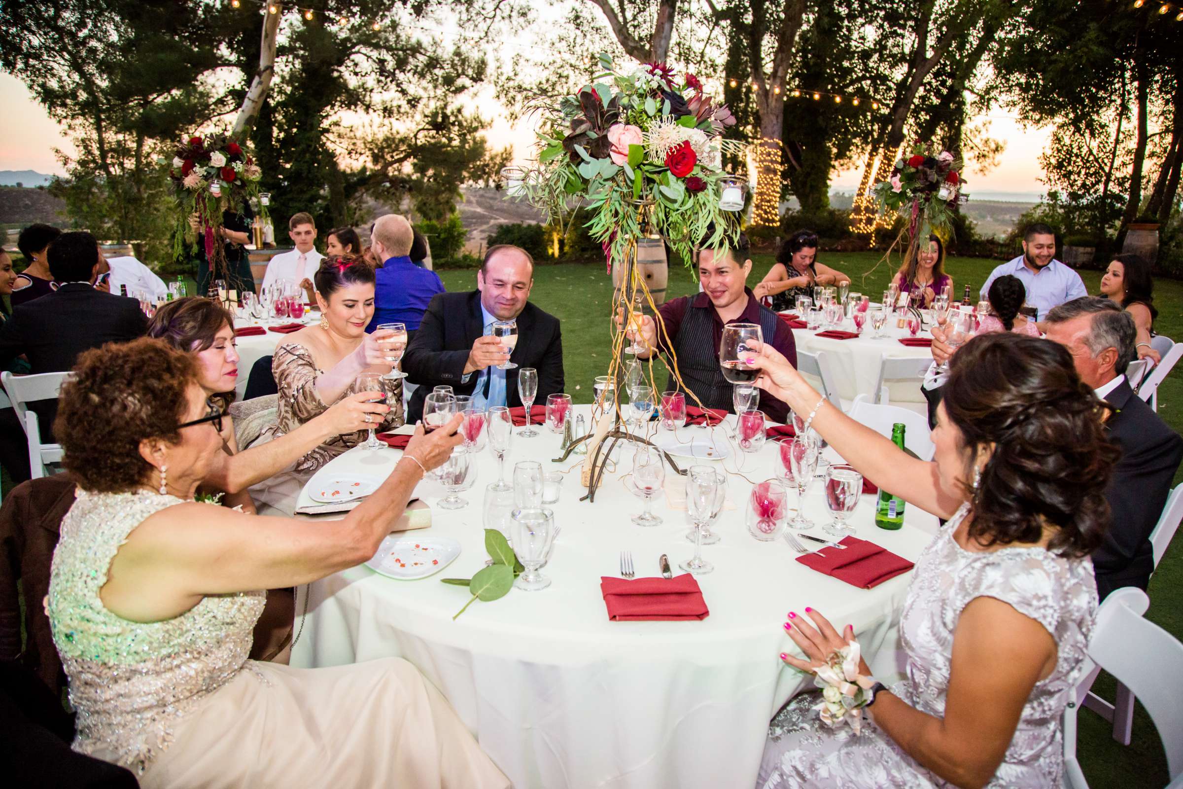 Falkner Winery Wedding, Roxana and Cameron Wedding Photo #427446 by True Photography