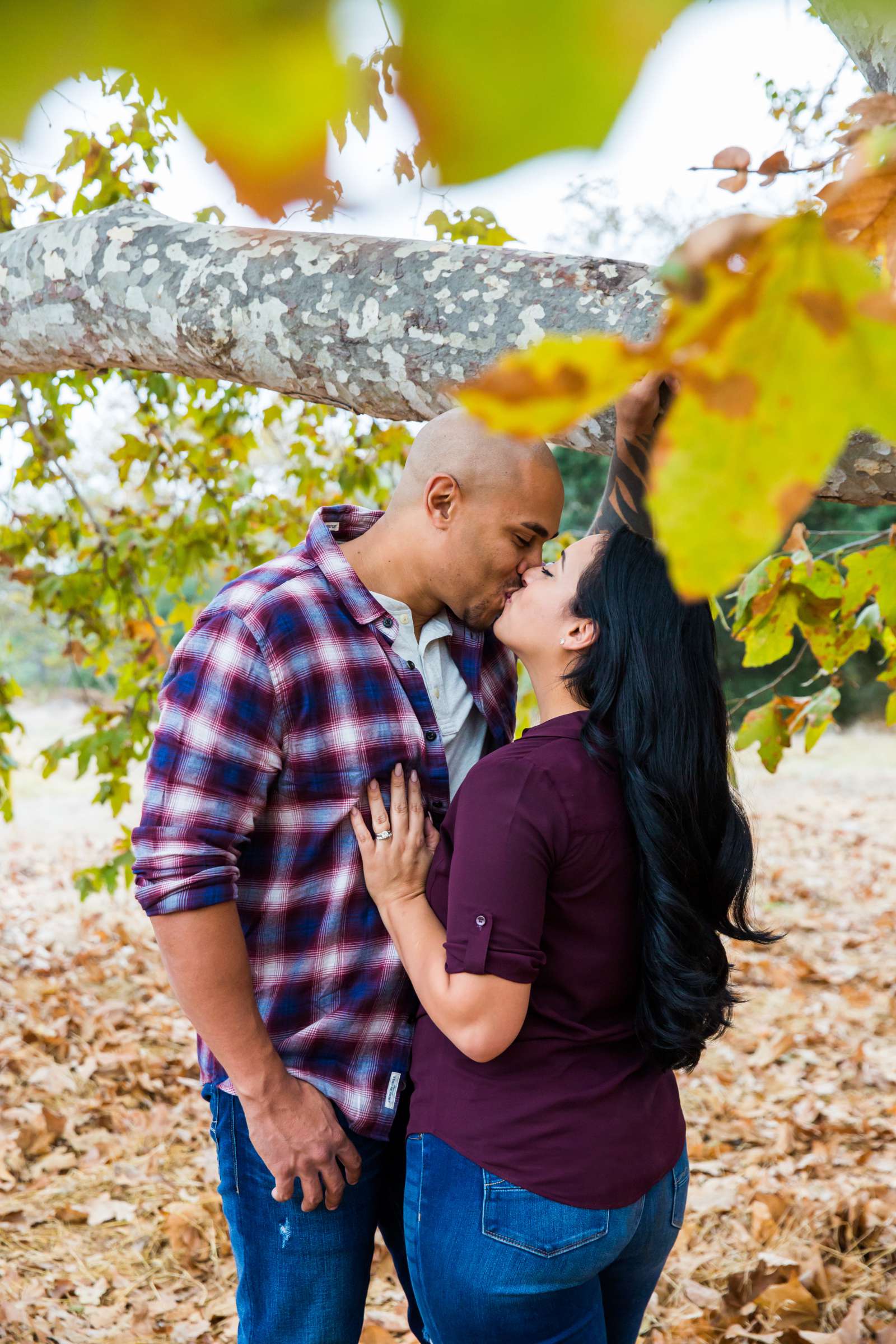 Family Portraits, Simerson Family 3 Photo #428006 by True Photography