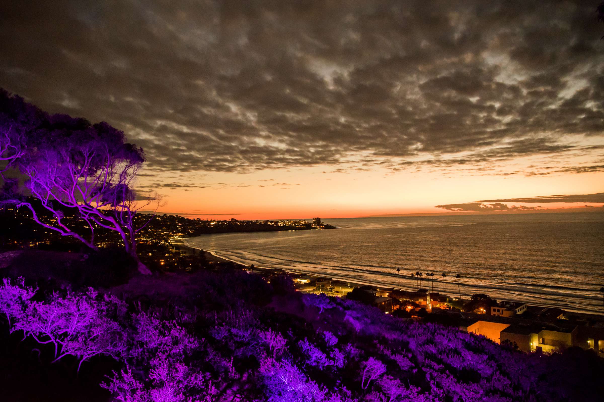 Birch Aquarium at Scripps Wedding, Breeders Cup Wedding Photo #428600 by True Photography