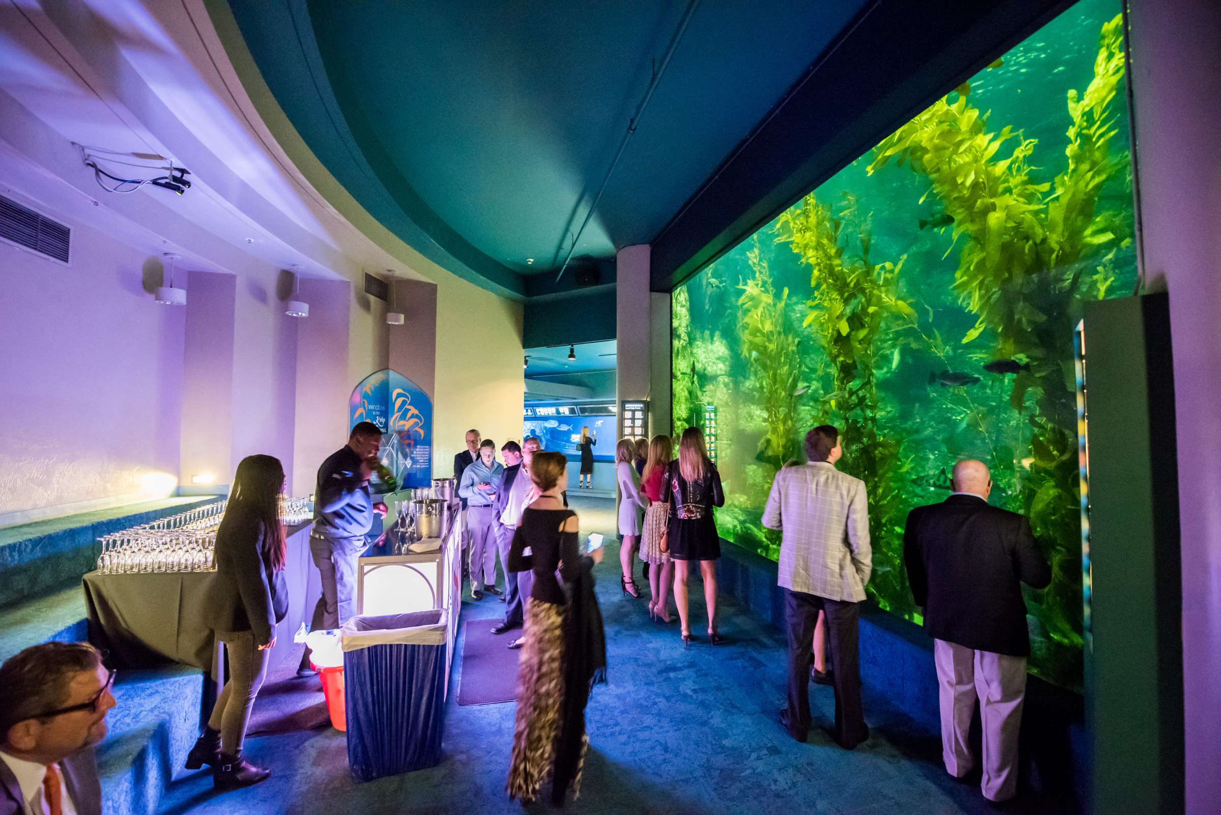 Birch Aquarium at Scripps Wedding, Breeders Cup Wedding Photo #428604 by True Photography