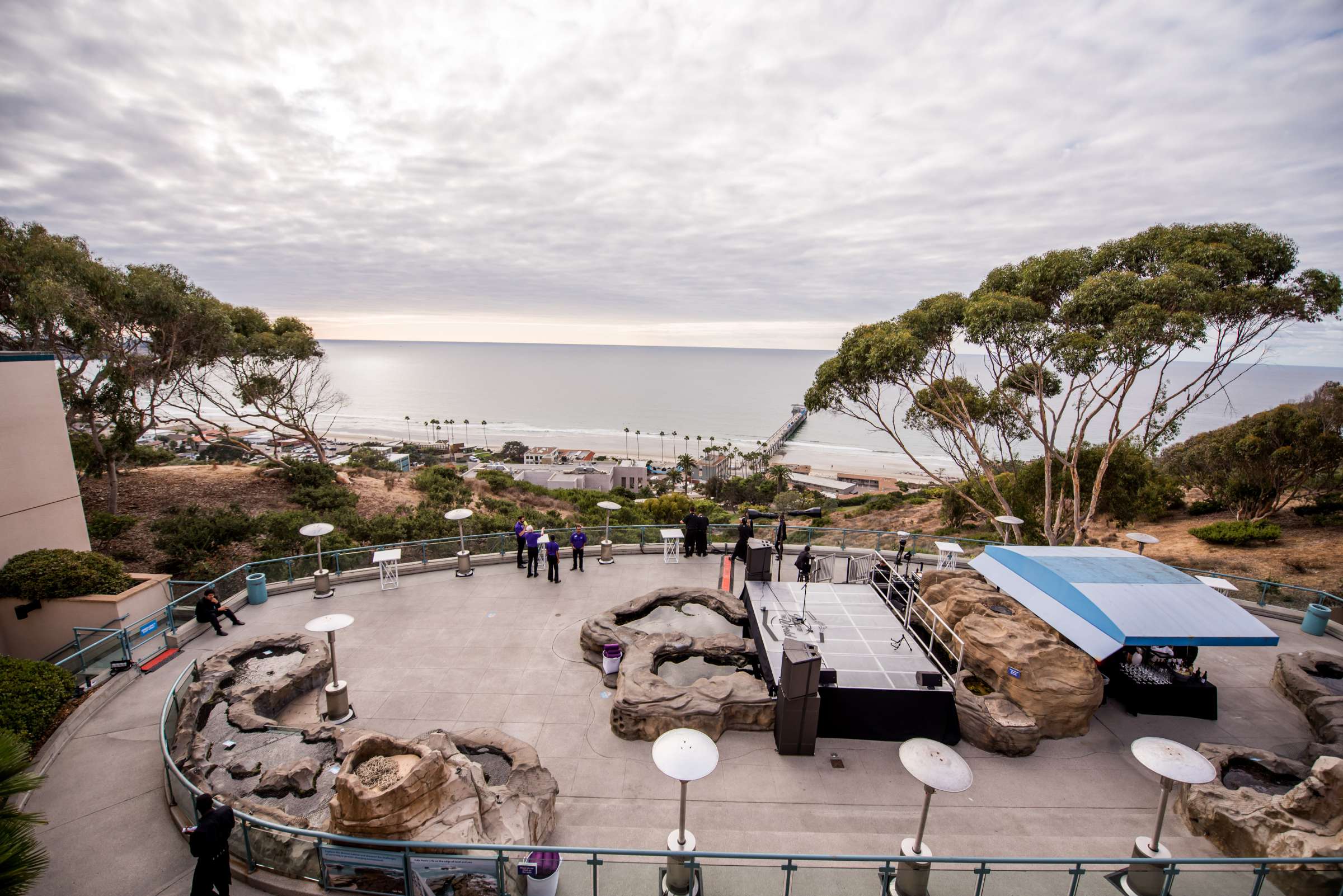 Birch Aquarium at Scripps Wedding, Breeders Cup Wedding Photo #428633 by True Photography