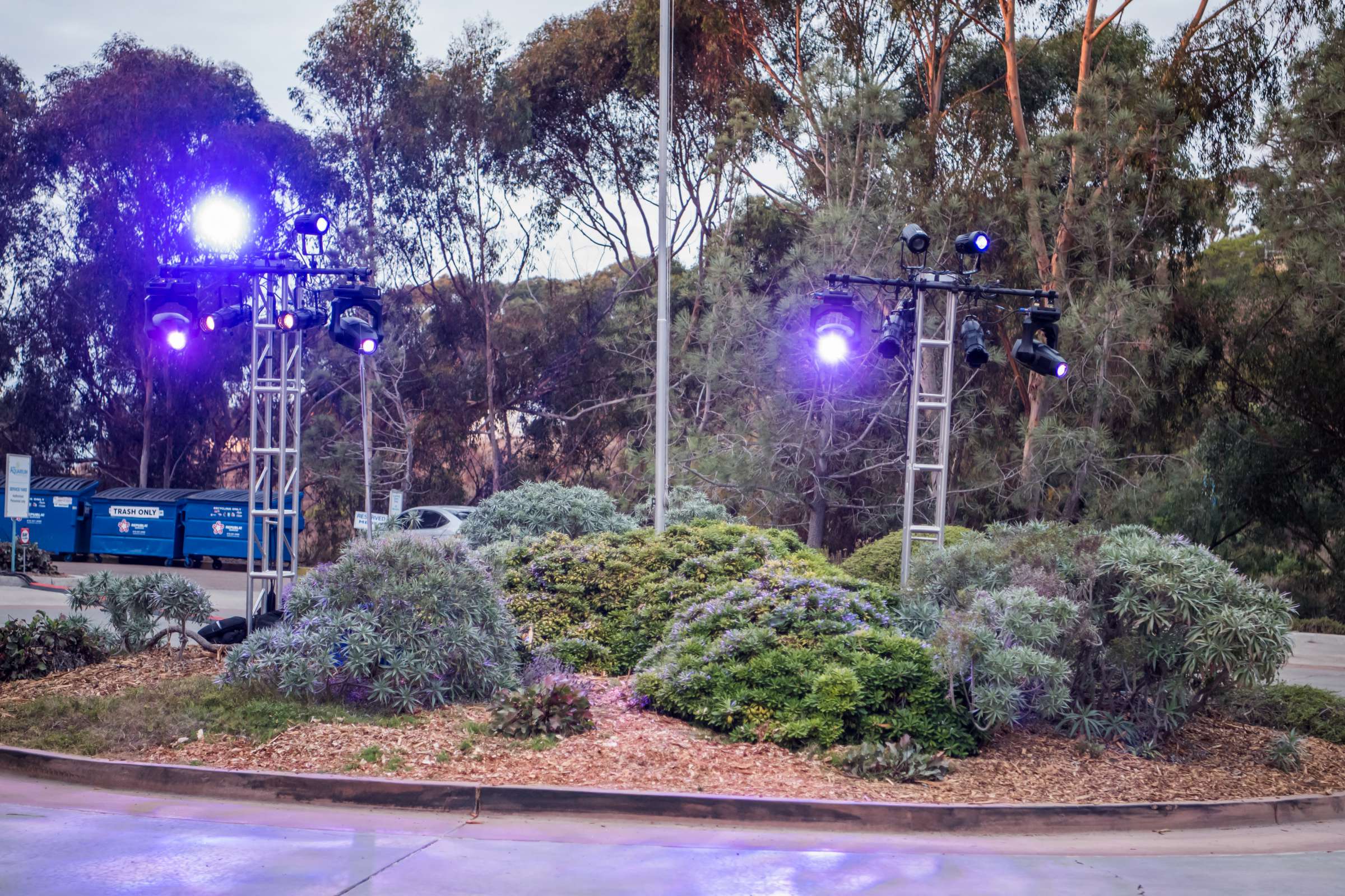 Birch Aquarium at Scripps Wedding, Breeders Cup Wedding Photo #428726 by True Photography