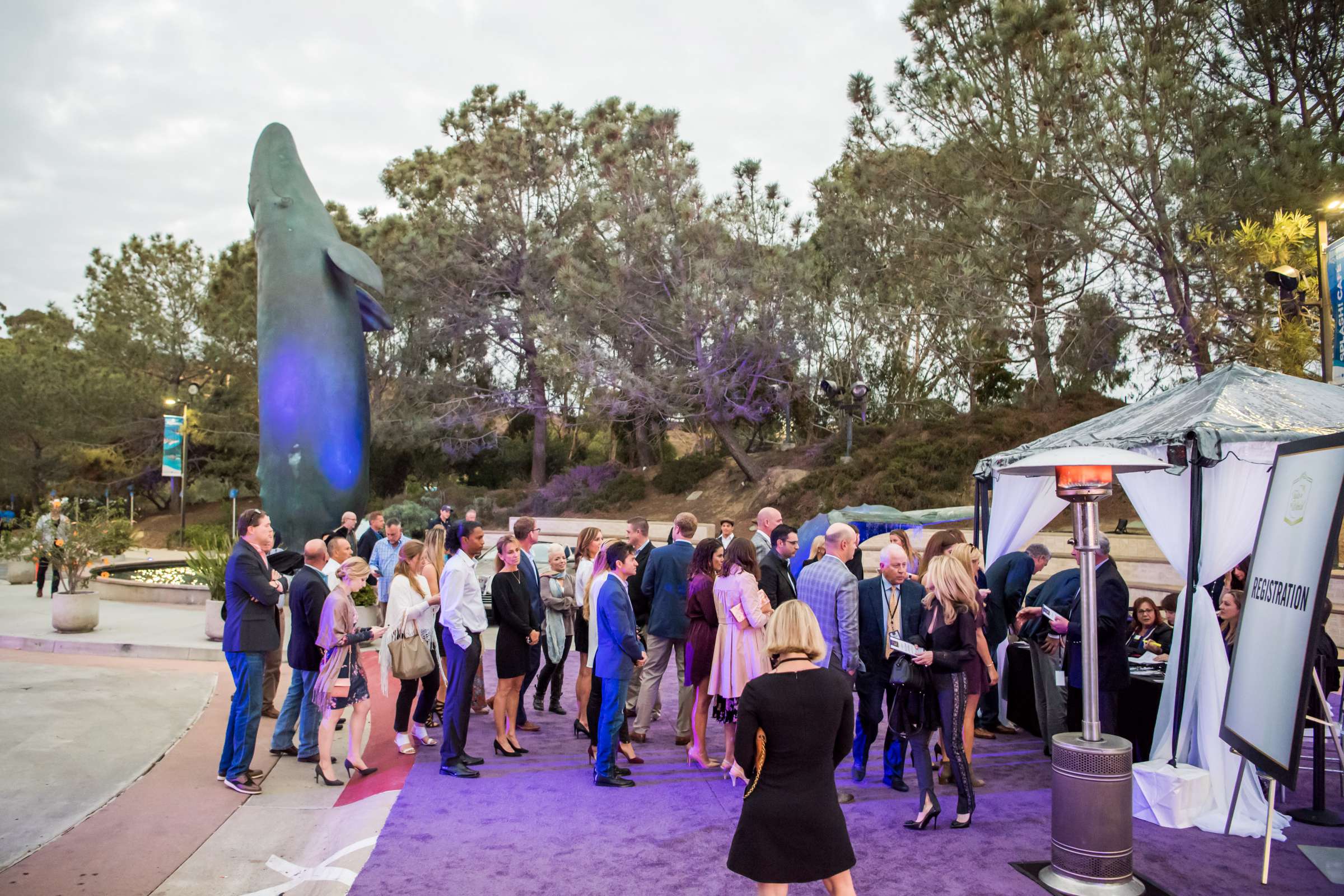 Birch Aquarium at Scripps Wedding, Breeders Cup Wedding Photo #428742 by True Photography