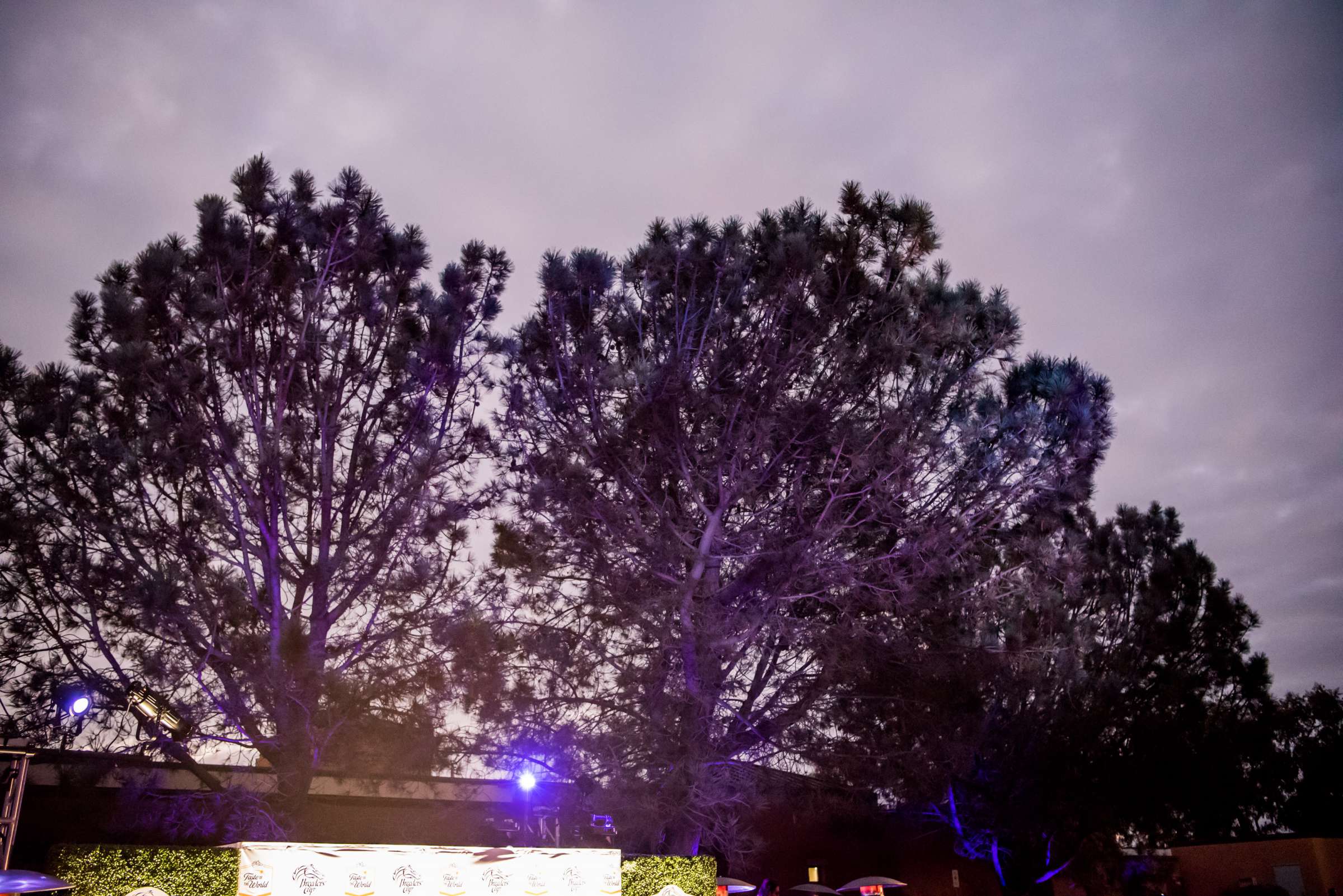 Birch Aquarium at Scripps Wedding, Breeders Cup Wedding Photo #428751 by True Photography