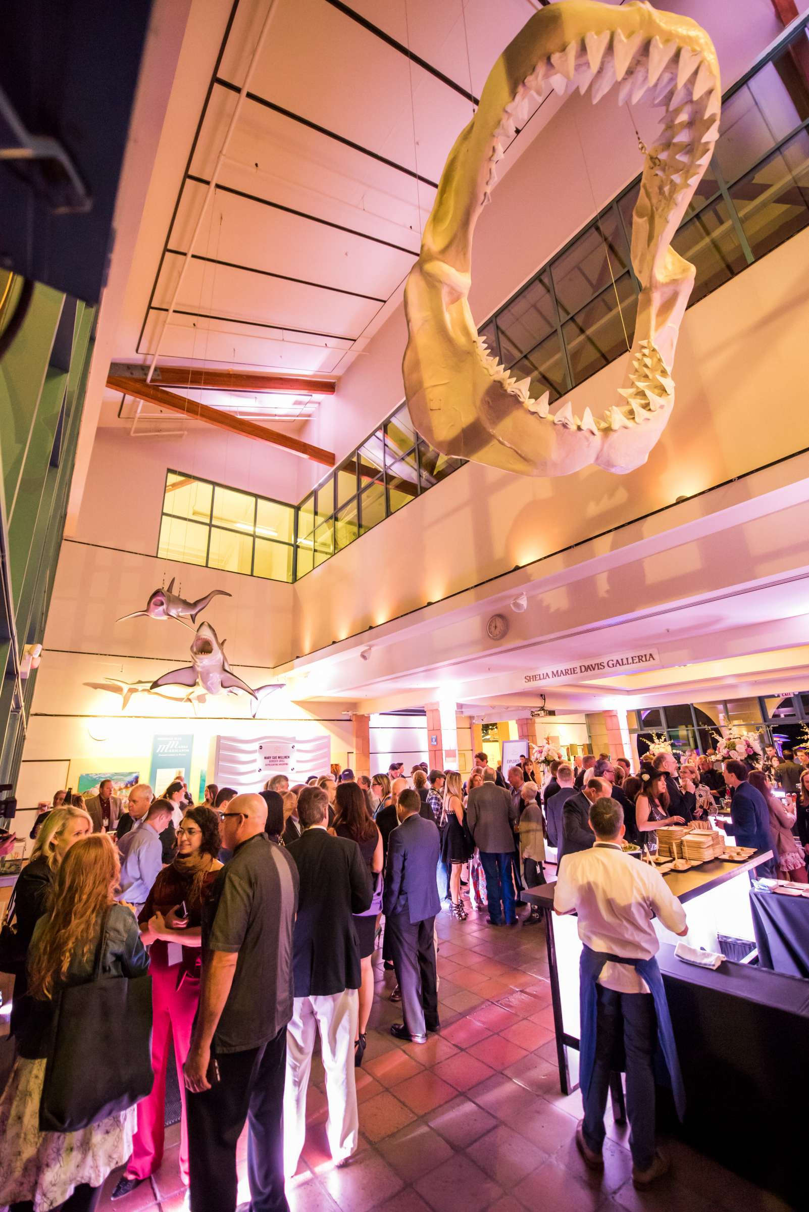 Birch Aquarium at Scripps Wedding, Breeders Cup Wedding Photo #428793 by True Photography