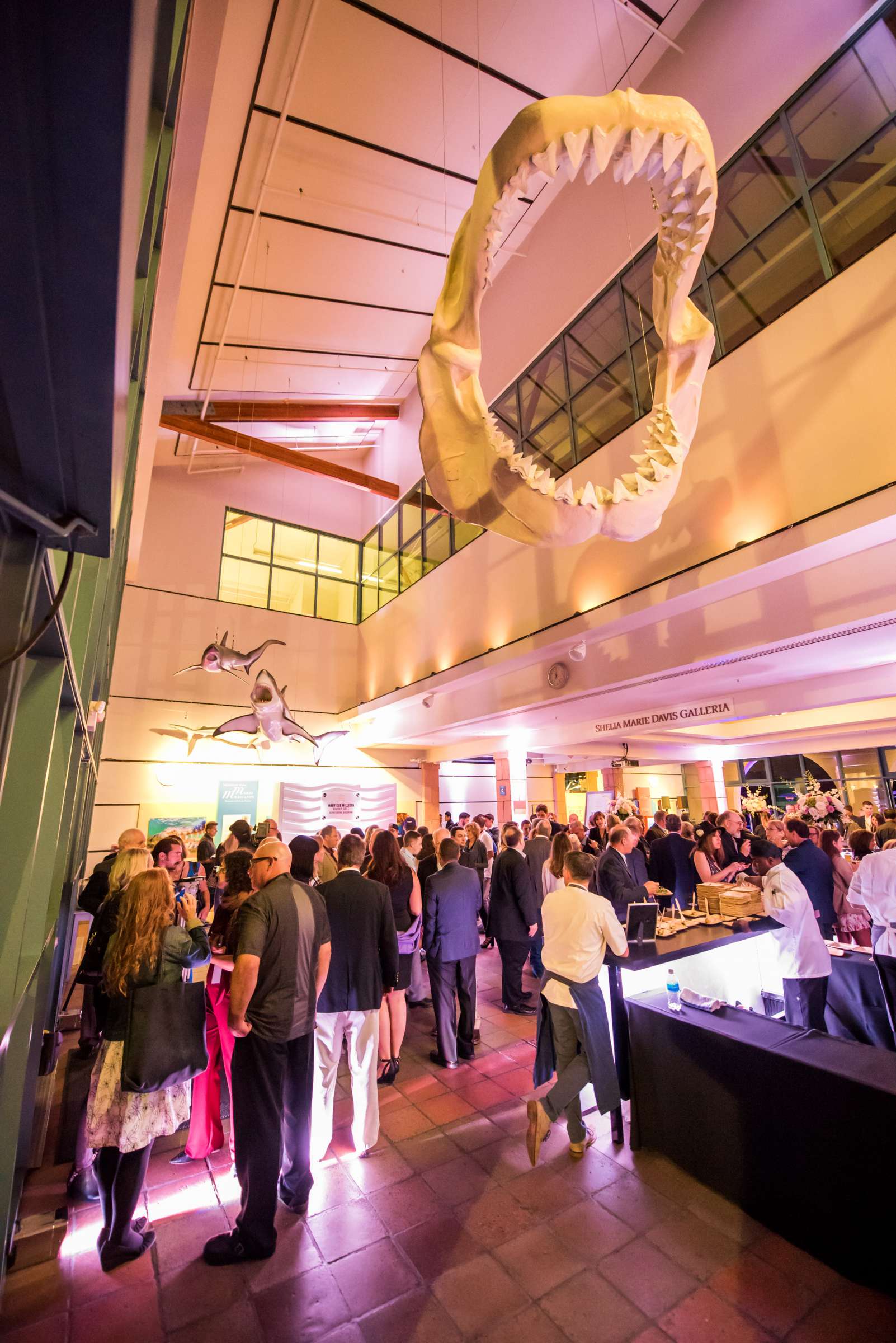 Birch Aquarium at Scripps Wedding, Breeders Cup Wedding Photo #428794 by True Photography