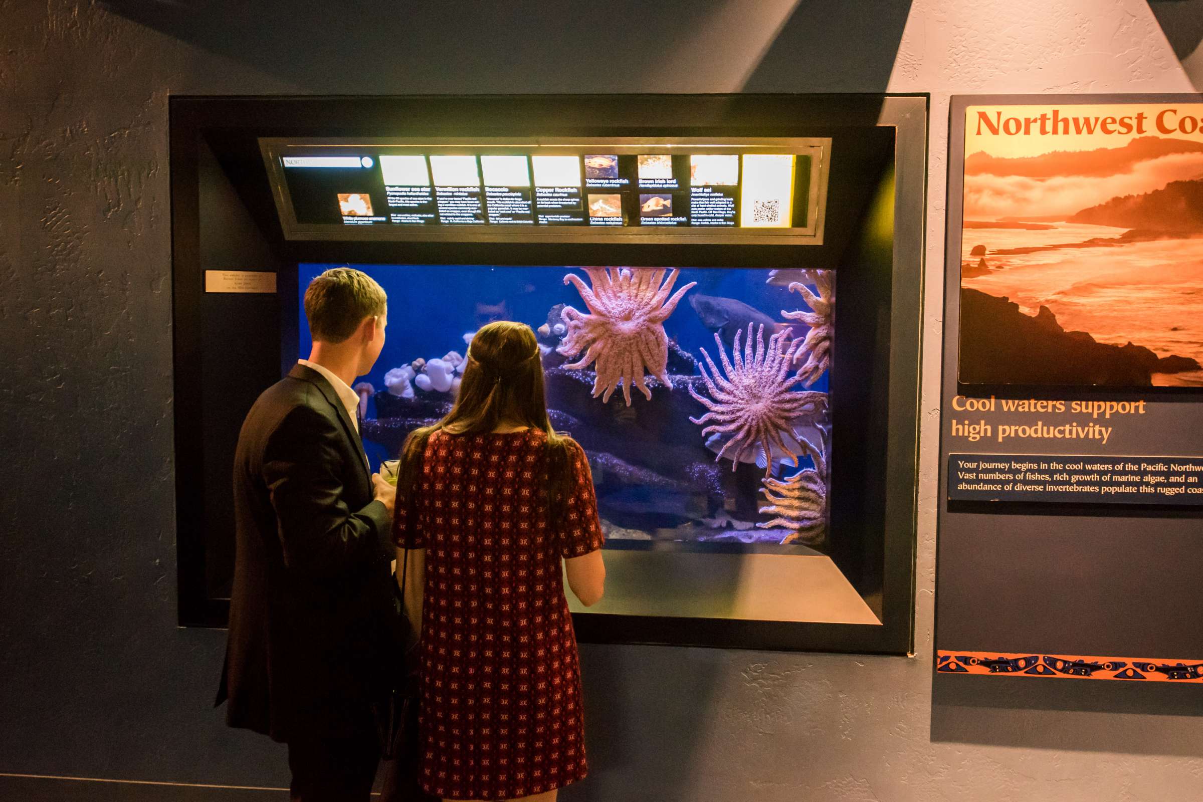 Birch Aquarium at Scripps Wedding, Breeders Cup Wedding Photo #428795 by True Photography