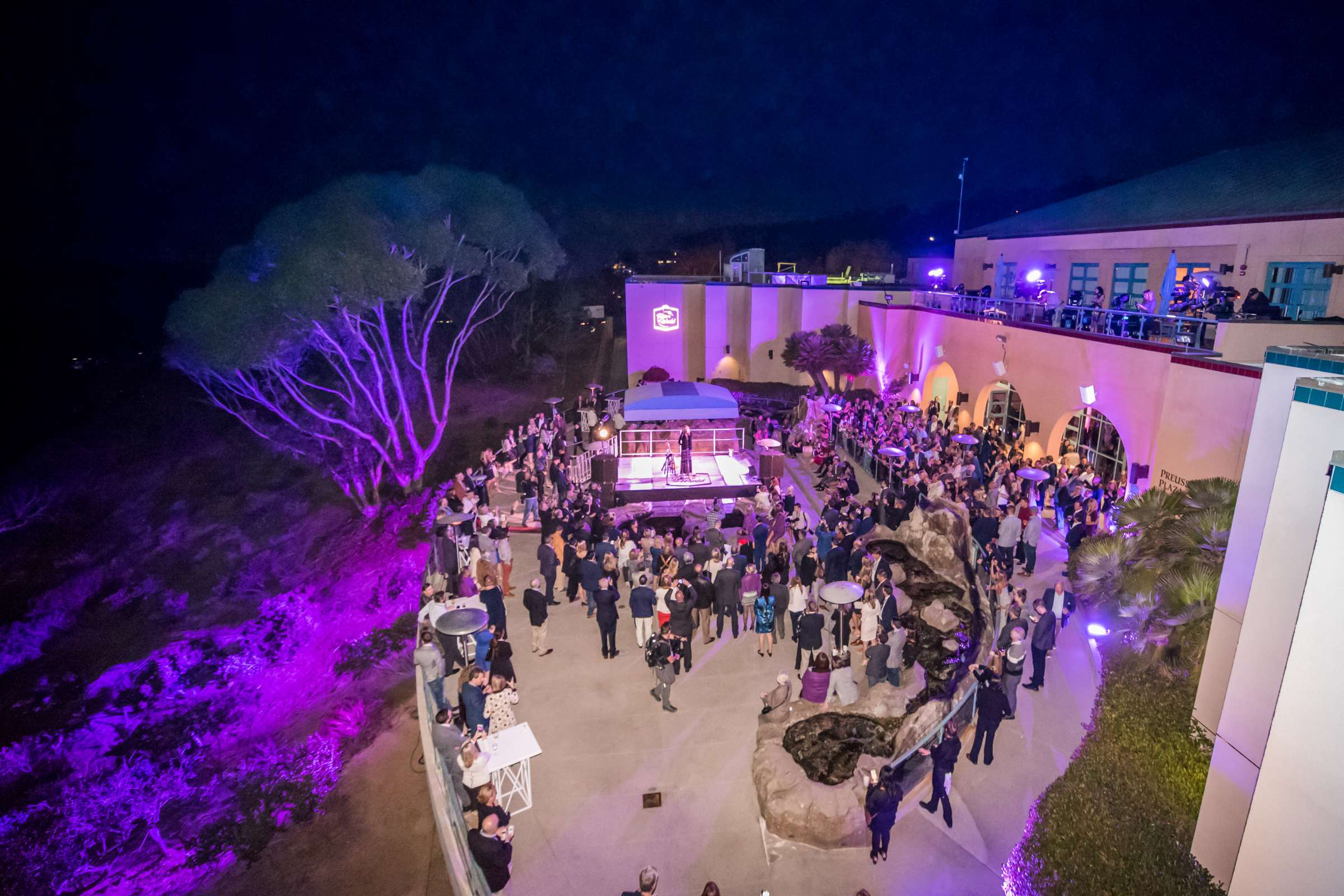 Birch Aquarium at Scripps Wedding, Breeders Cup Wedding Photo #428826 by True Photography