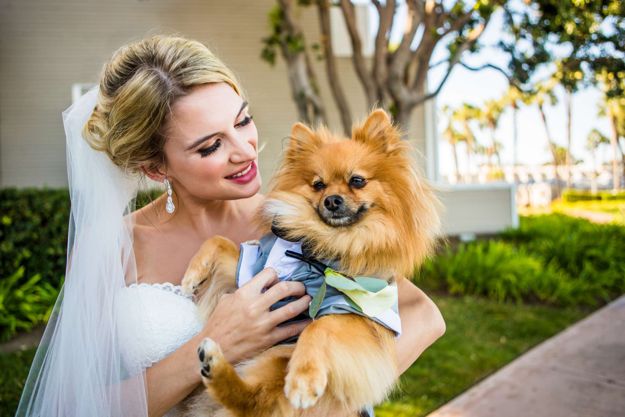 Coronado Island Marriott Resort & Spa Wedding, Amy and Frank Wedding Photo #430144 by True Photography