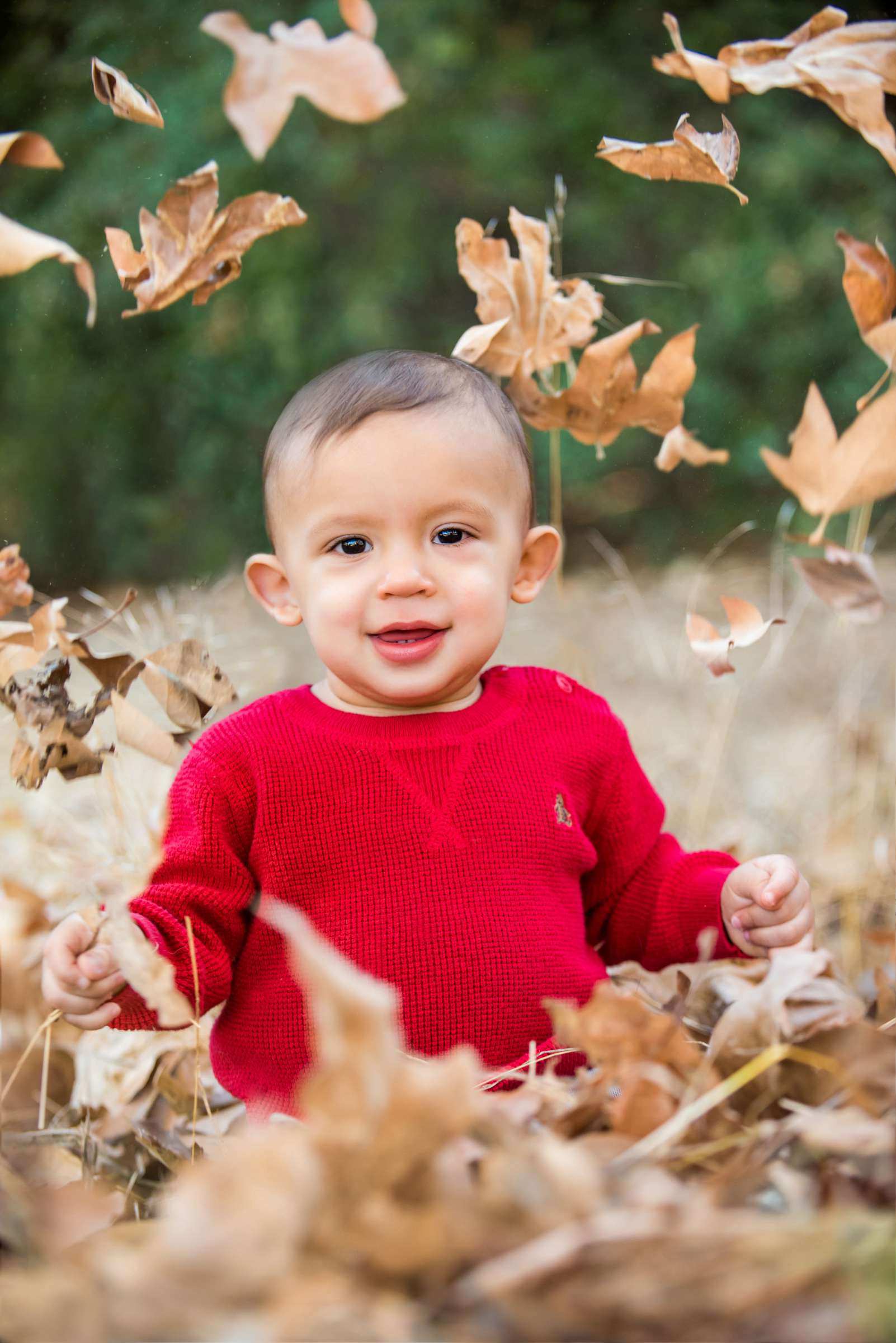 Family Portraits, Mimi and Erik Family Photo #431477 by True Photography