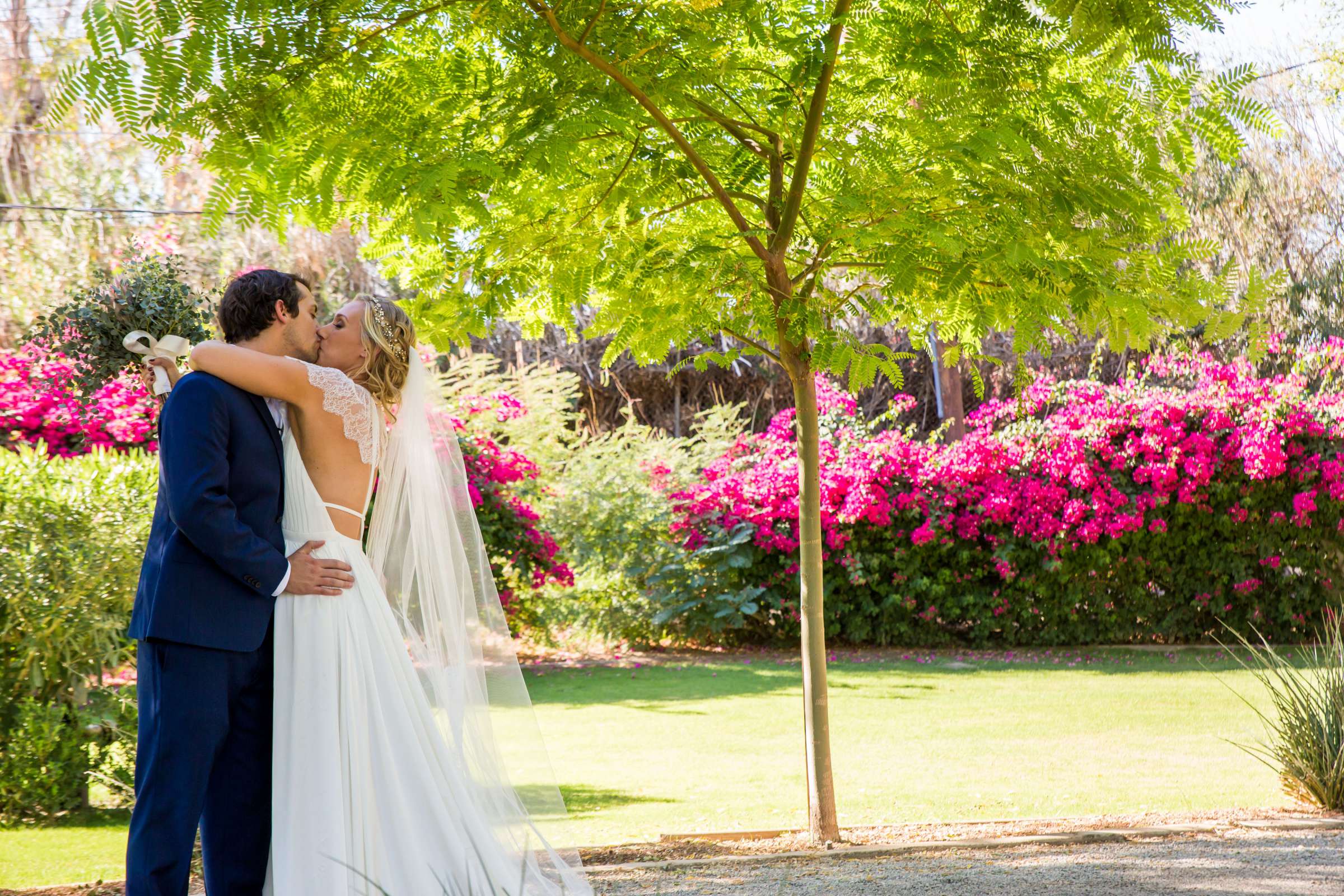 Wedding, Rachelle and Brandon Wedding Photo #432013 by True Photography