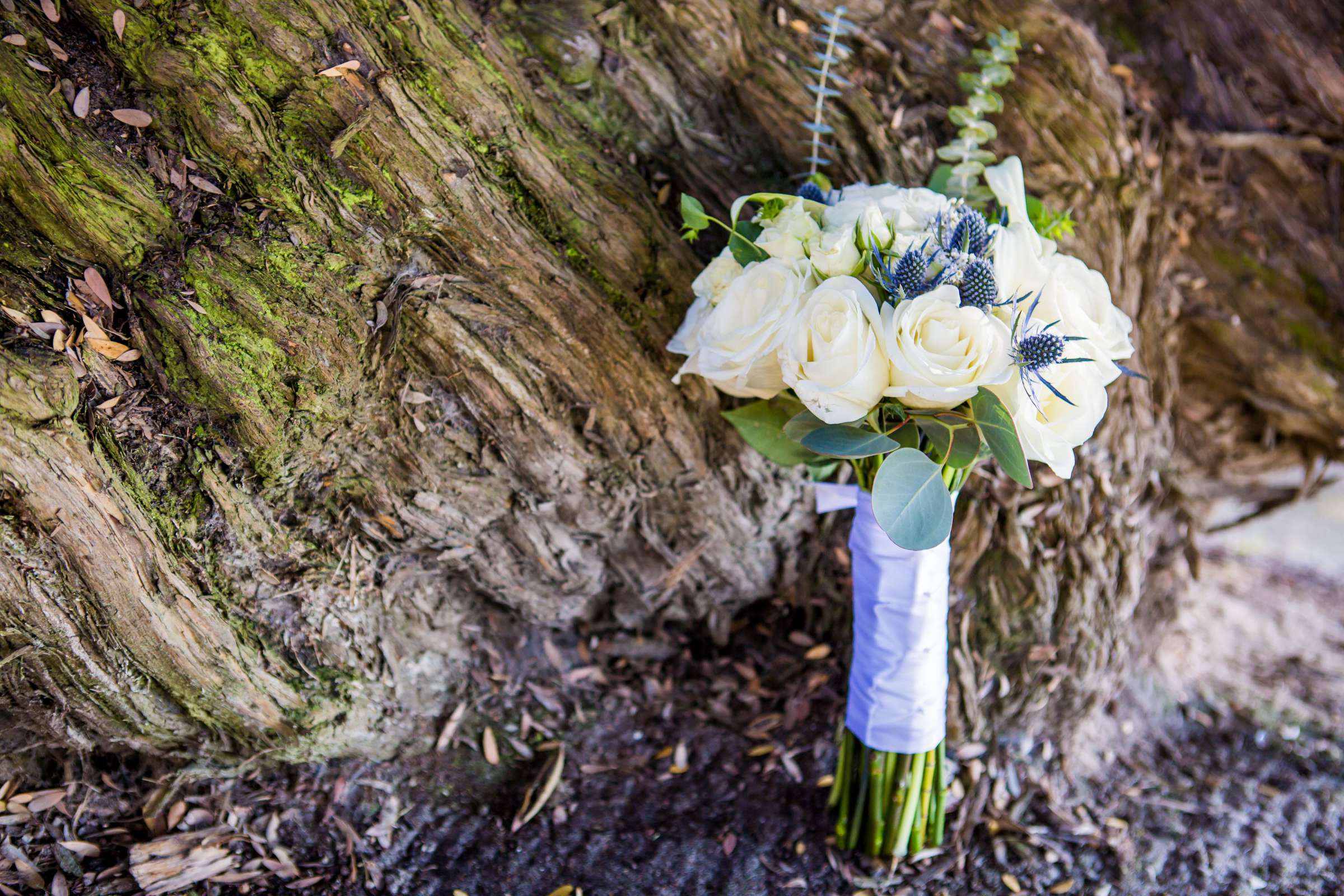 Bahia Hotel Wedding coordinated by A Life of Dreams, Syreeta and Luis Wedding Photo #432834 by True Photography