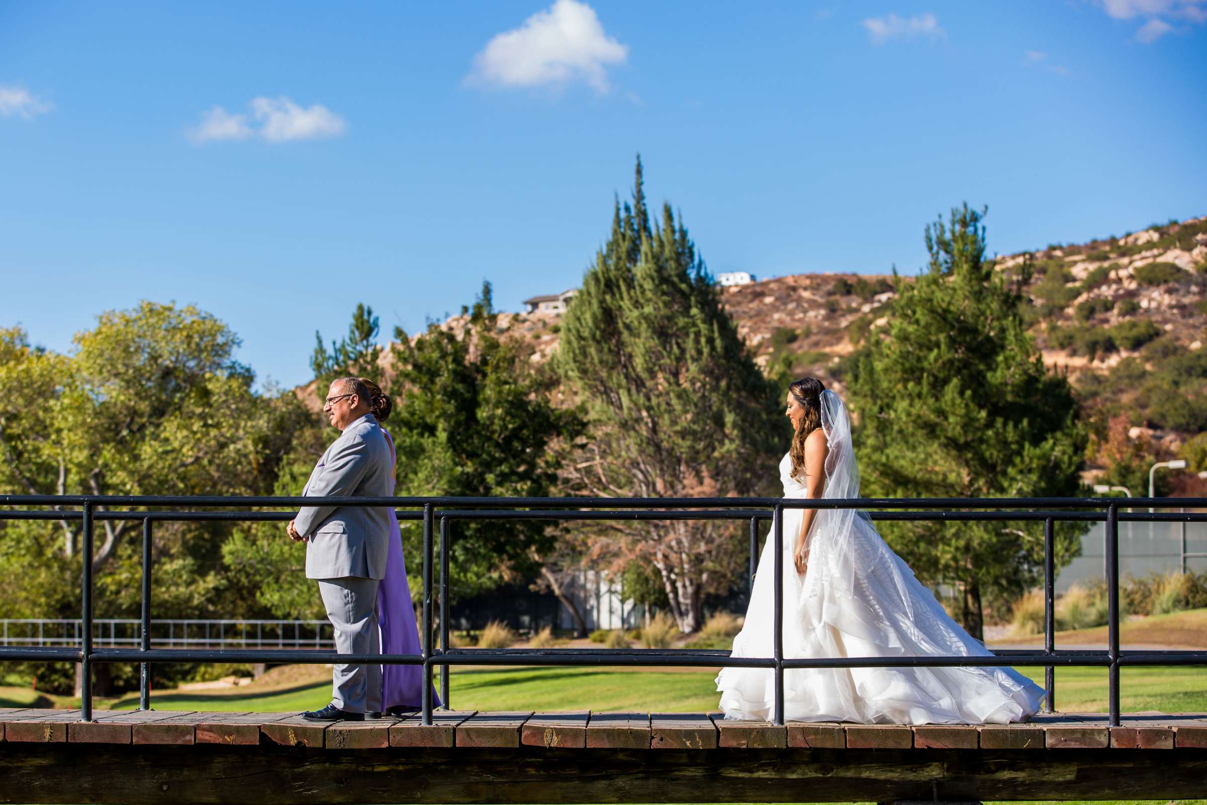 Wedding, Natalie and Michael Wedding Photo #433630 by True Photography