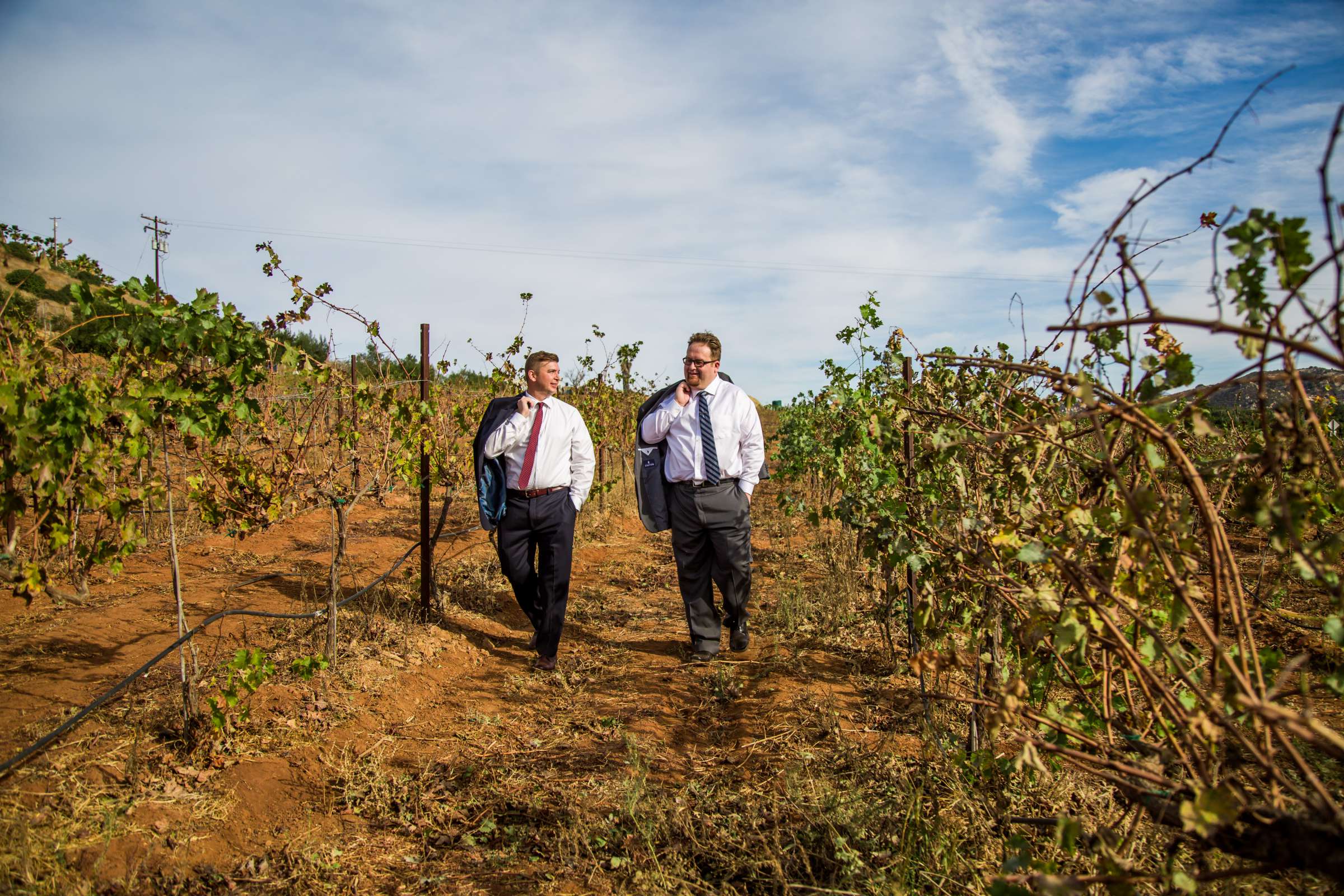 Cordiano Winery Wedding coordinated by Sisti & Co, Lyndsay and Neal Wedding Photo #38 by True Photography