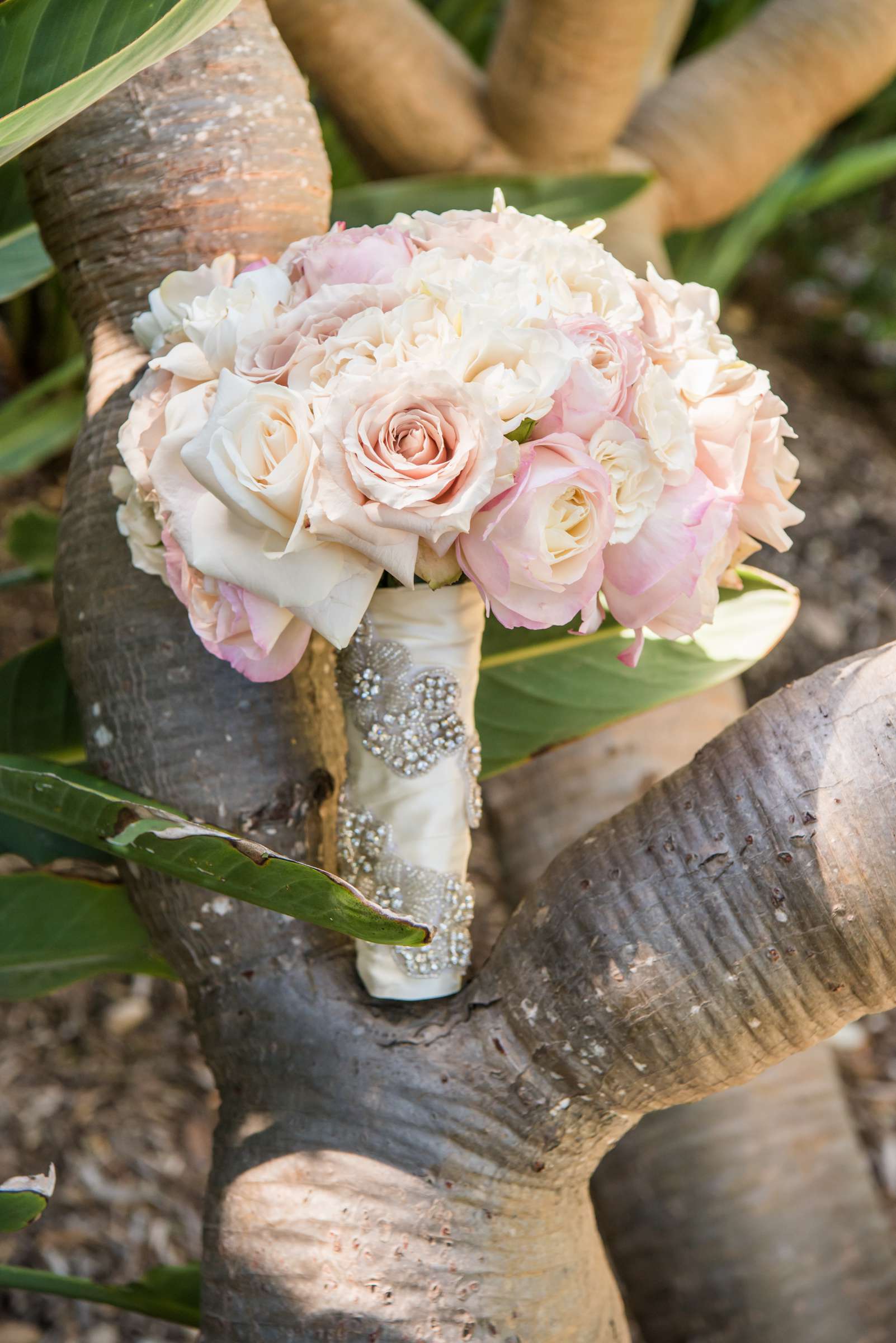 Rancho Valencia Wedding coordinated by Bliss Events, Tris and Matt Wedding Photo #439354 by True Photography