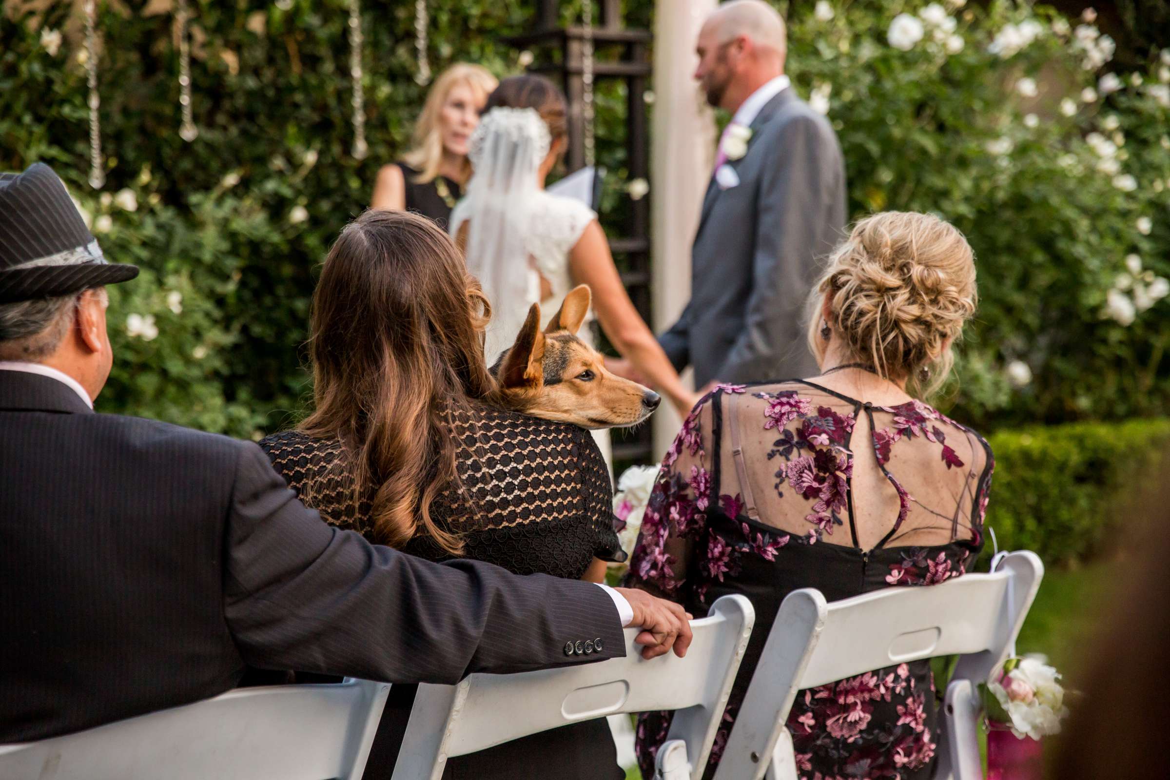 Rancho Bernardo Inn Wedding, Brianne and Eric Wedding Photo #53 by True Photography