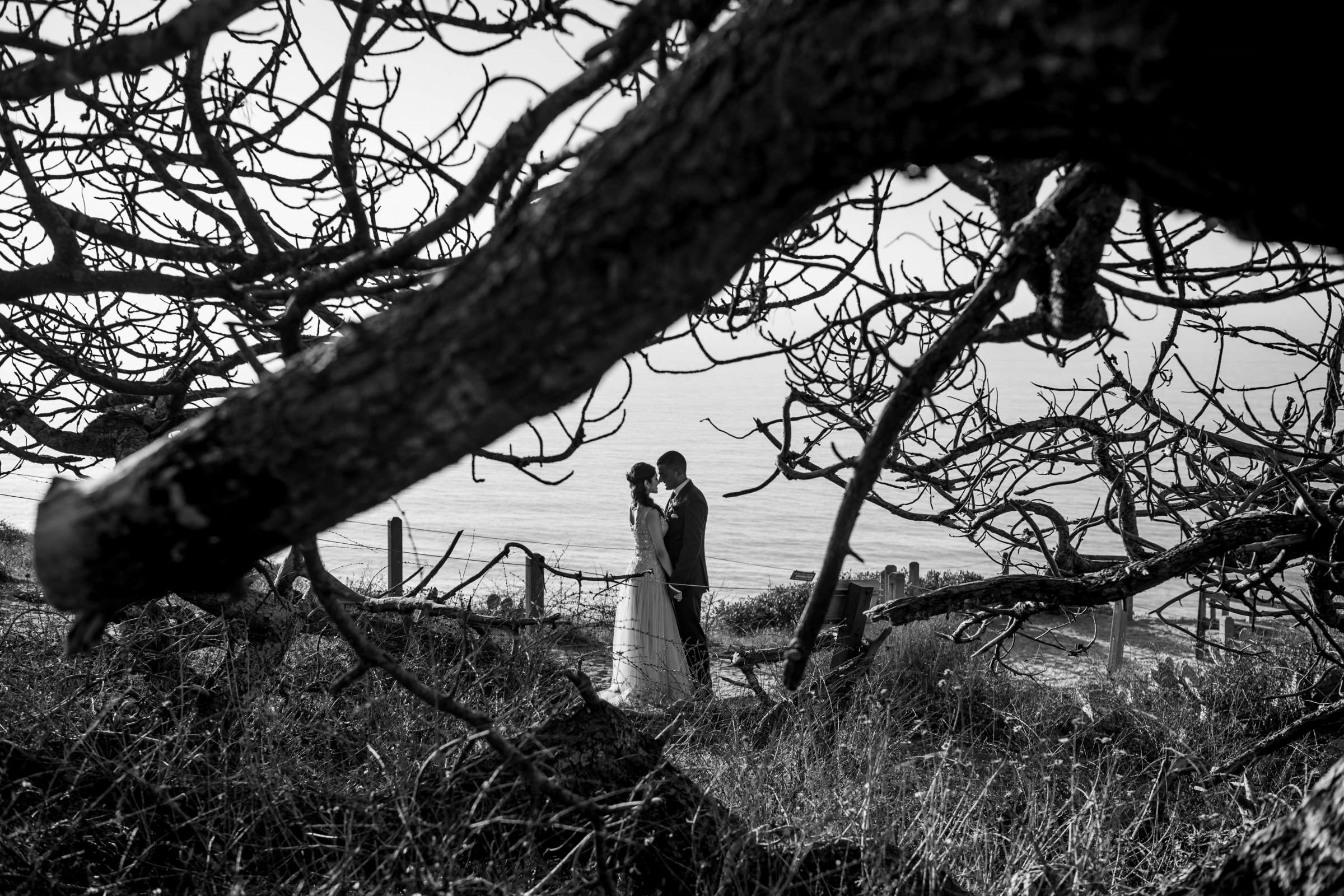 Torrey Pines State Natural Reserve Wedding, Natasha and Jake Wedding Photo #440708 by True Photography